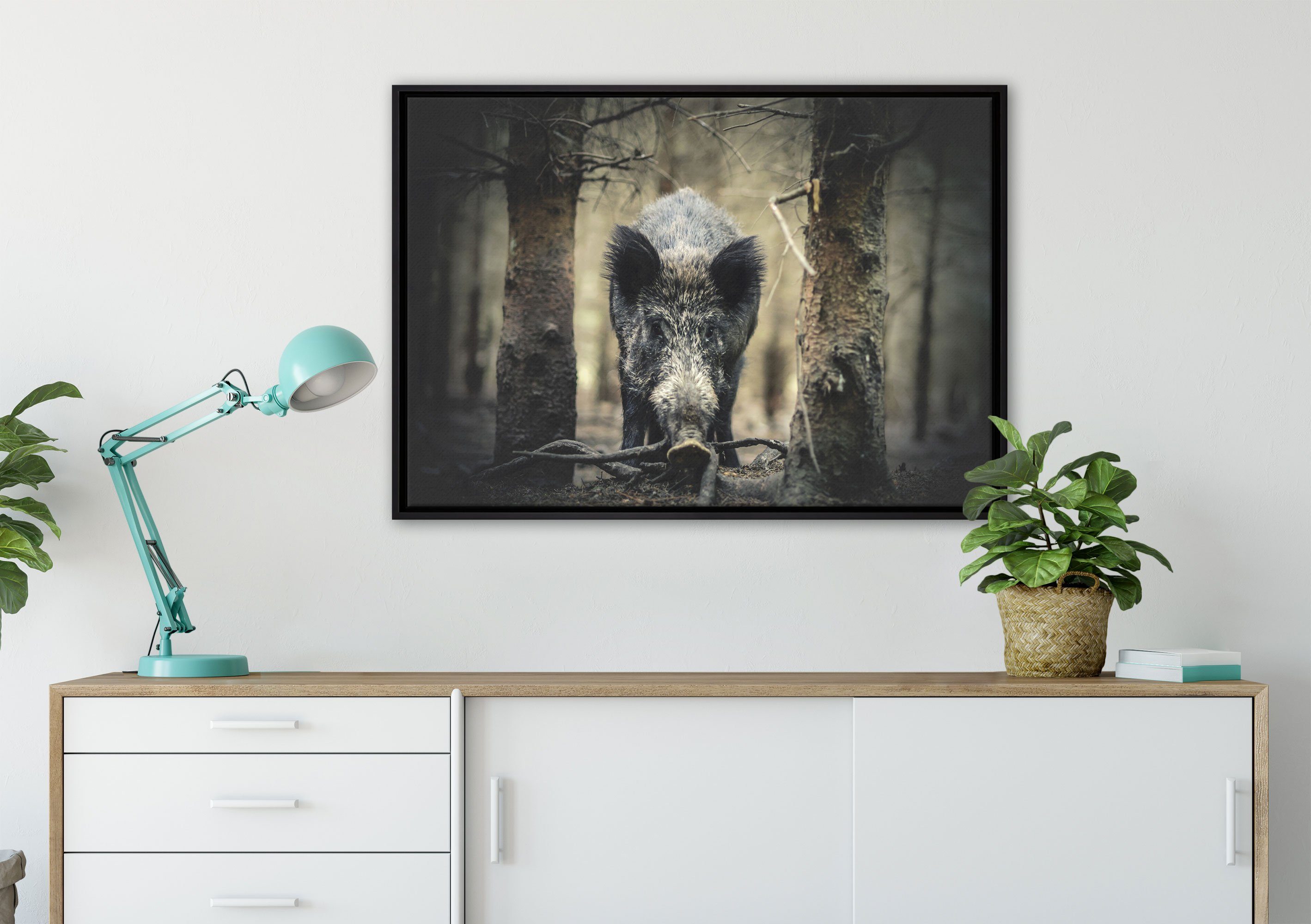 Pixxprint Leinwandbild Leinwandbild inkl. Nahaufnahme (1 Zackenaufhänger St), einem Wildschwein im gefasst, Wanddekoration in Wald, Schattenfugen-Bilderrahmen fertig bespannt