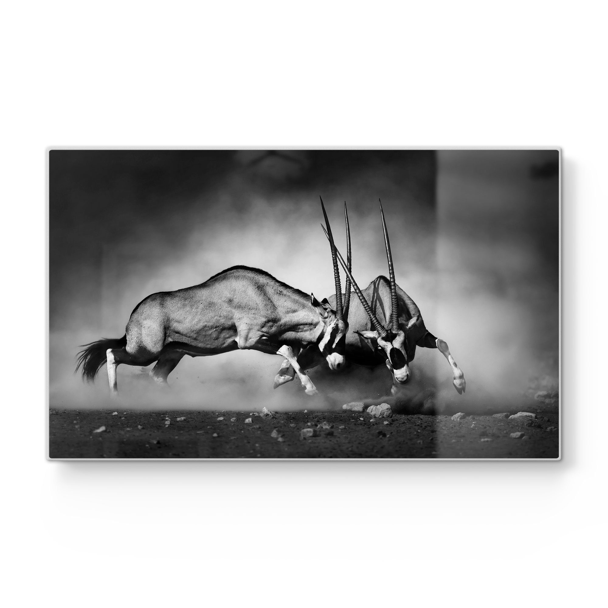 DEQORI Schneidebrett 'Aggressive Oryxantilopen', Glas, Platte Frühstücksbrett Schneideplatte