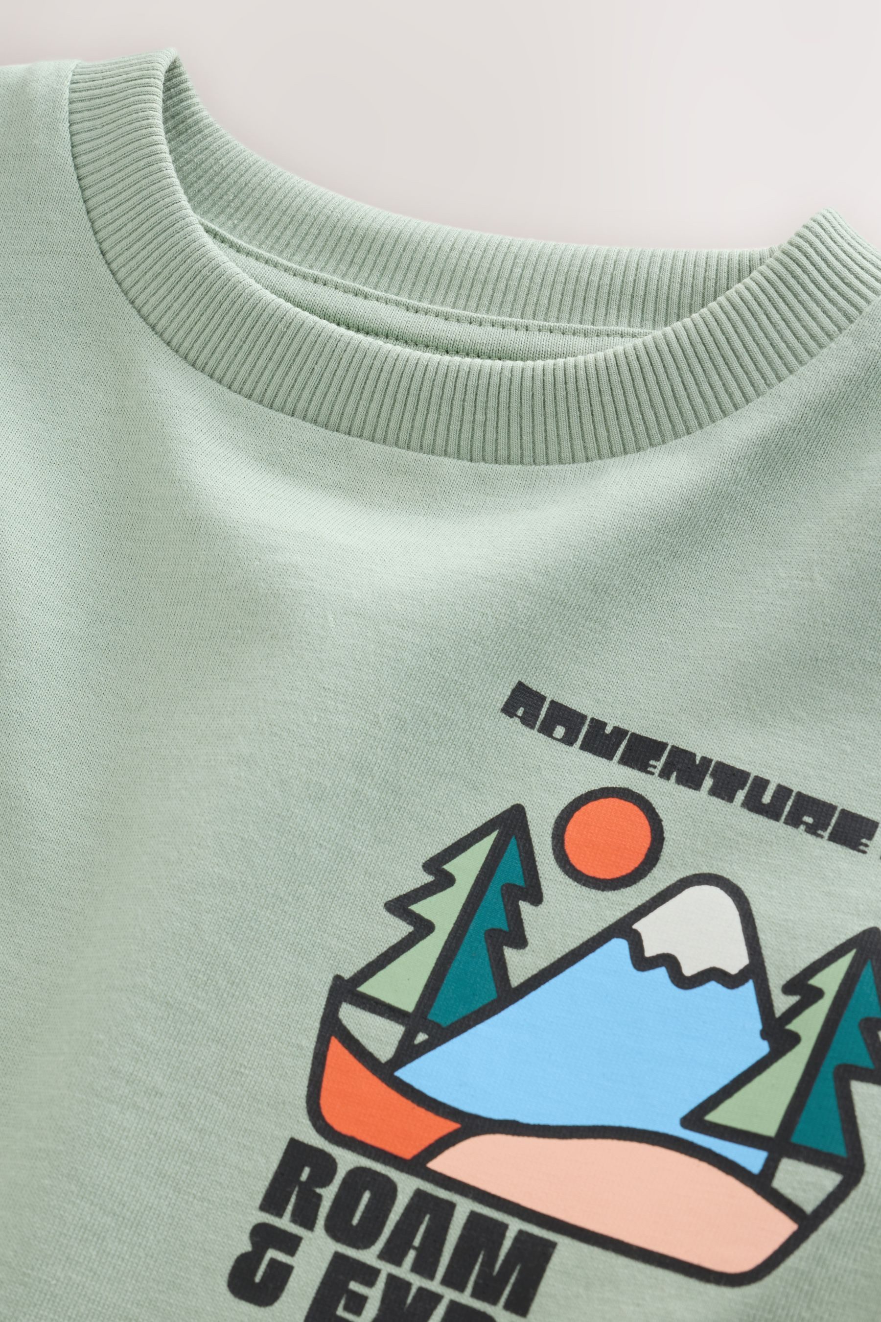 Next Langarmshirt Langärmeliges Shirt mit Rückengrafik (1-tlg)