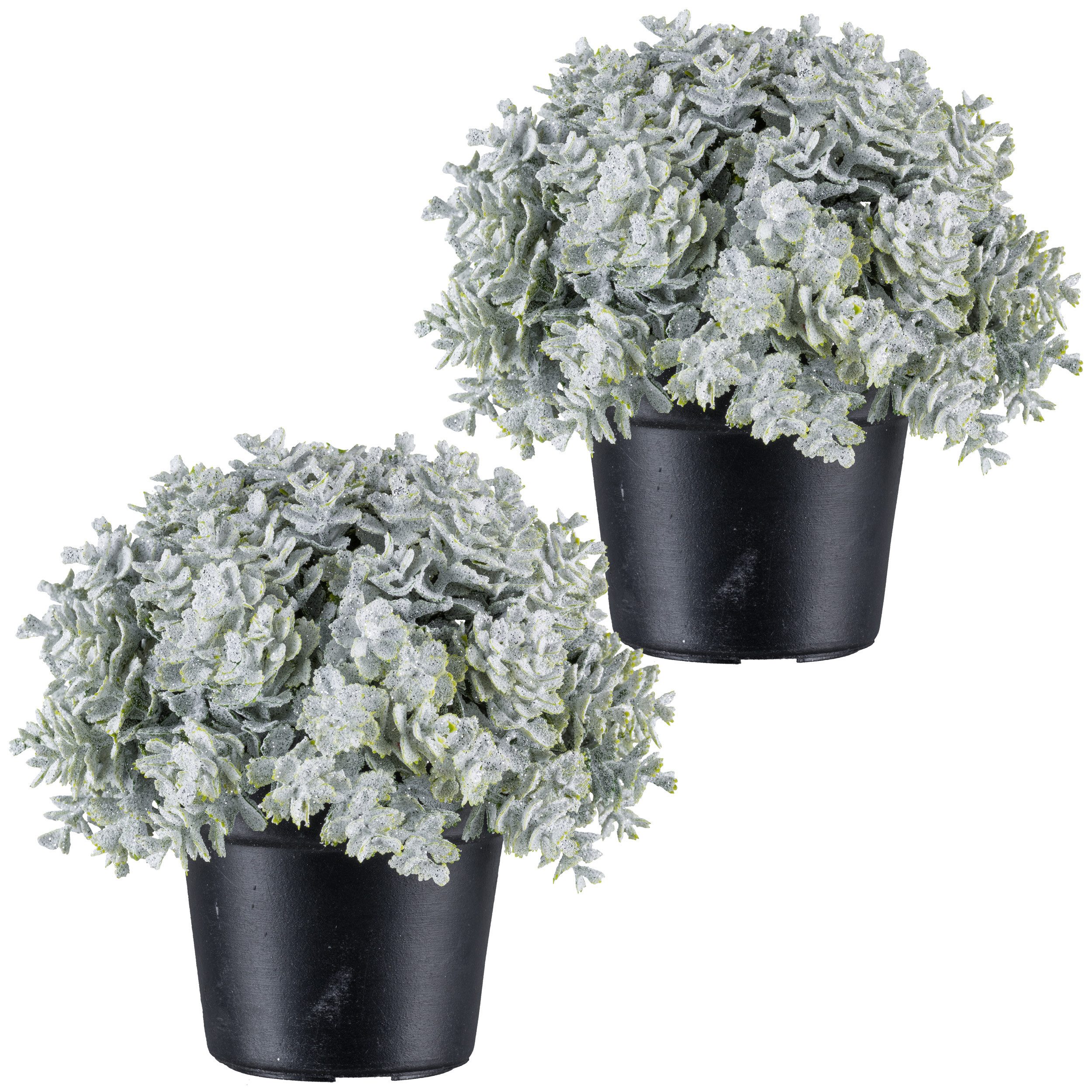 Kunstpflanze Eukalyptus, Creativ green, Höhe 13 cm, in Kugelform