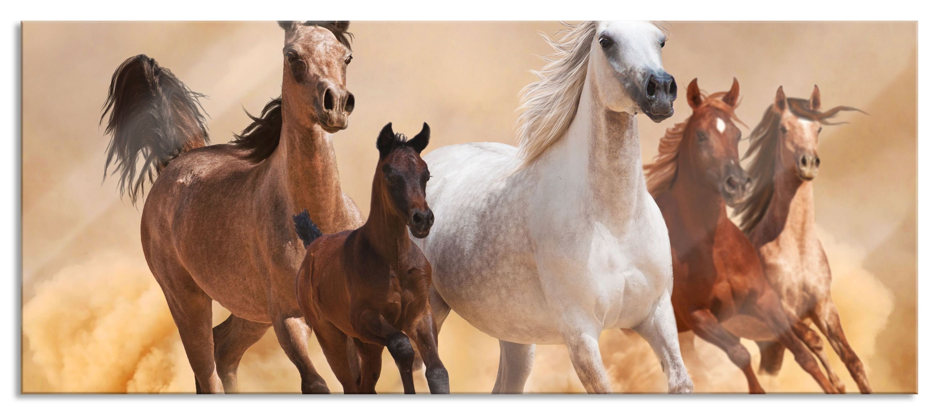 Pixxprint Glasbild Western Pferde mit Fohlen, Western Pferde mit Fohlen (1 St), Glasbild aus Echtglas, inkl. Aufhängungen und Abstandshalter