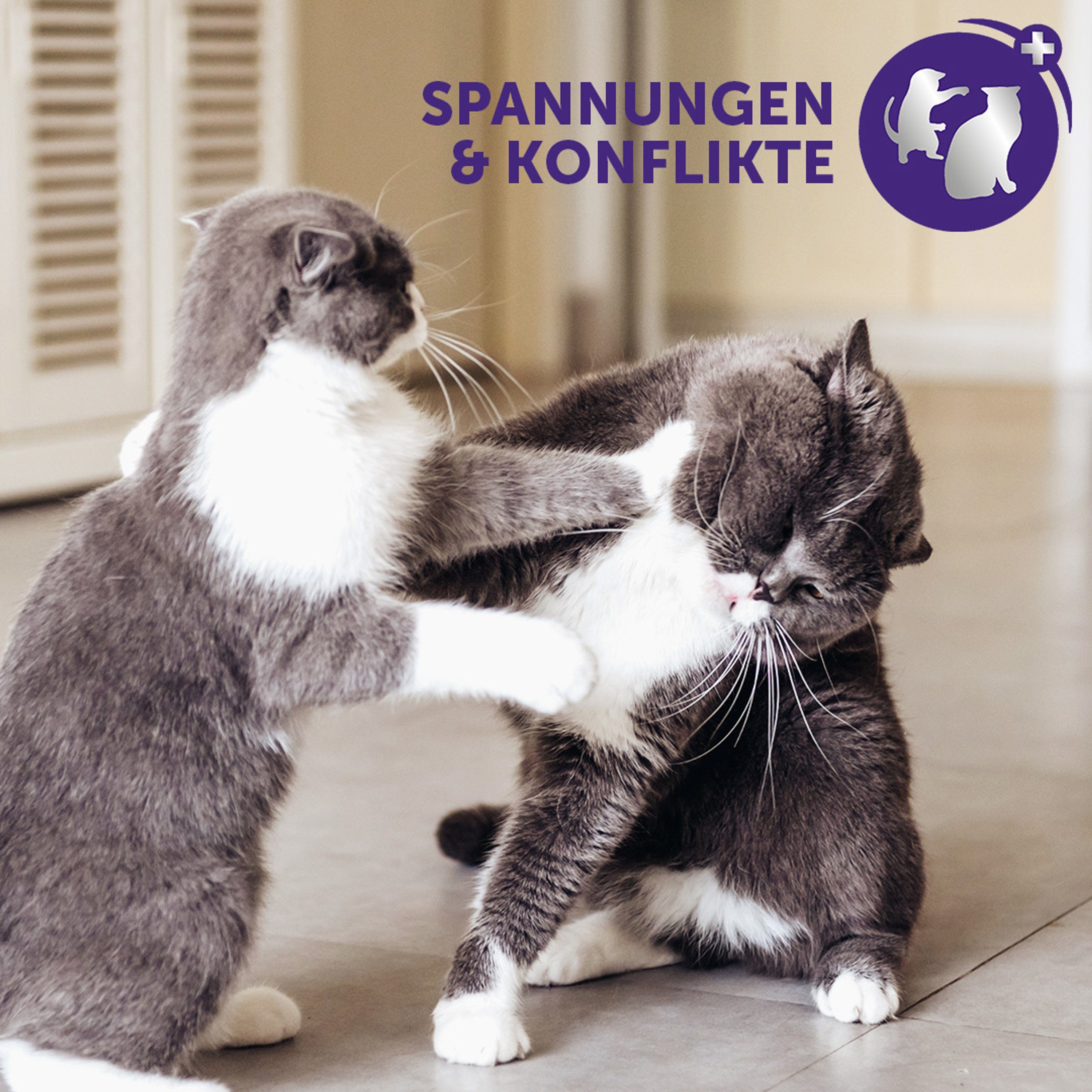 Katzenstreu FELIWAY® Optimum Nachfüllflakon 48ml