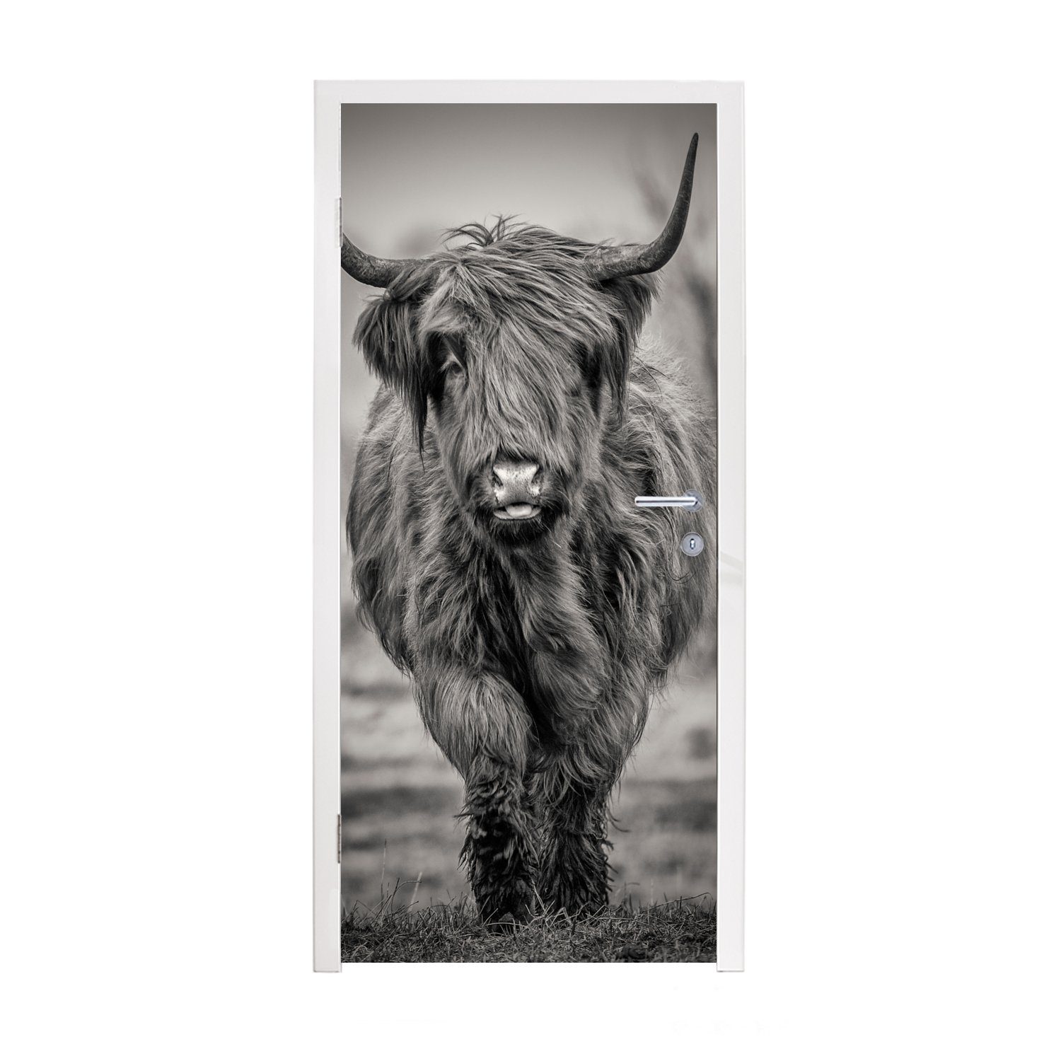 MuchoWow Türtapete Schottischer Highlander - Schwarz und Weiß, Matt, bedruckt, (1 St), Fototapete für Tür, Türaufkleber, 75x205 cm