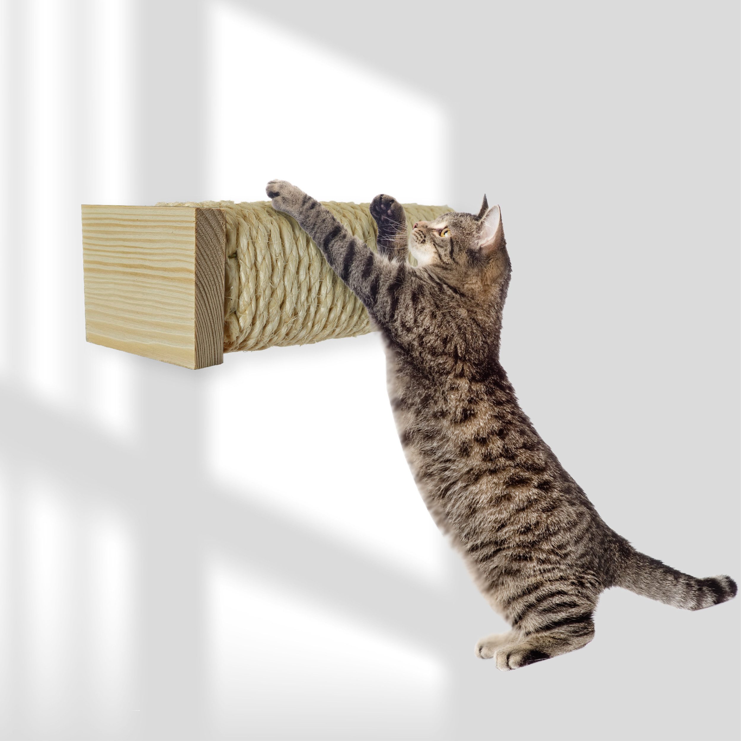 Rohrschneider Katzen-Kletterwand Katzentreppe Wand natur Wandelement günstig online kaufen