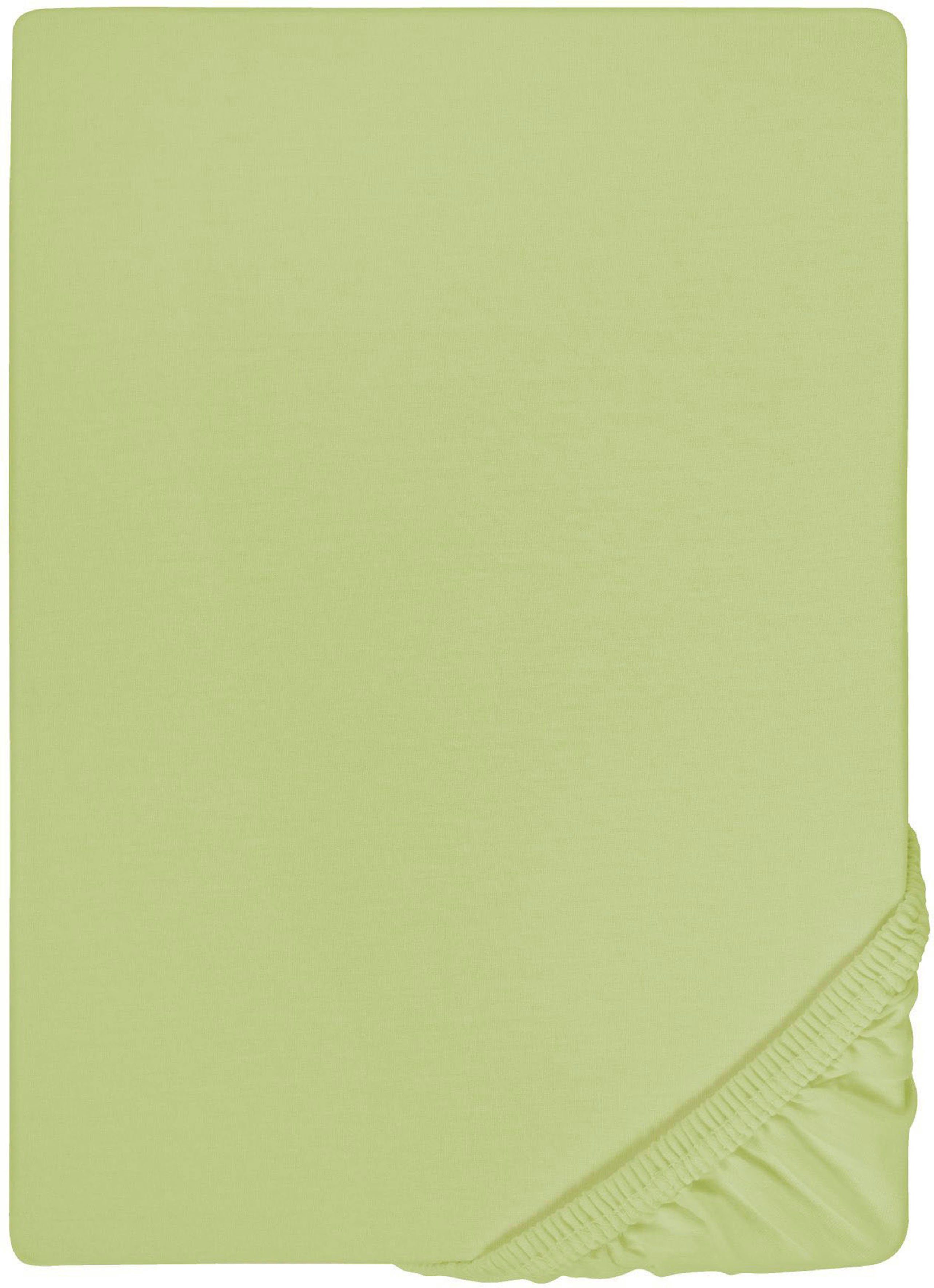 Biberna Spannbettlaken THEA Baumwoll-Jersey mit Elasthan, 160 g/m², Jersey-Elasthan, Gummizug: rundum, (1 Stück), Bettlaken für Matratzen bis 25 cm Höhe, pflegeleicht, bügelfrei