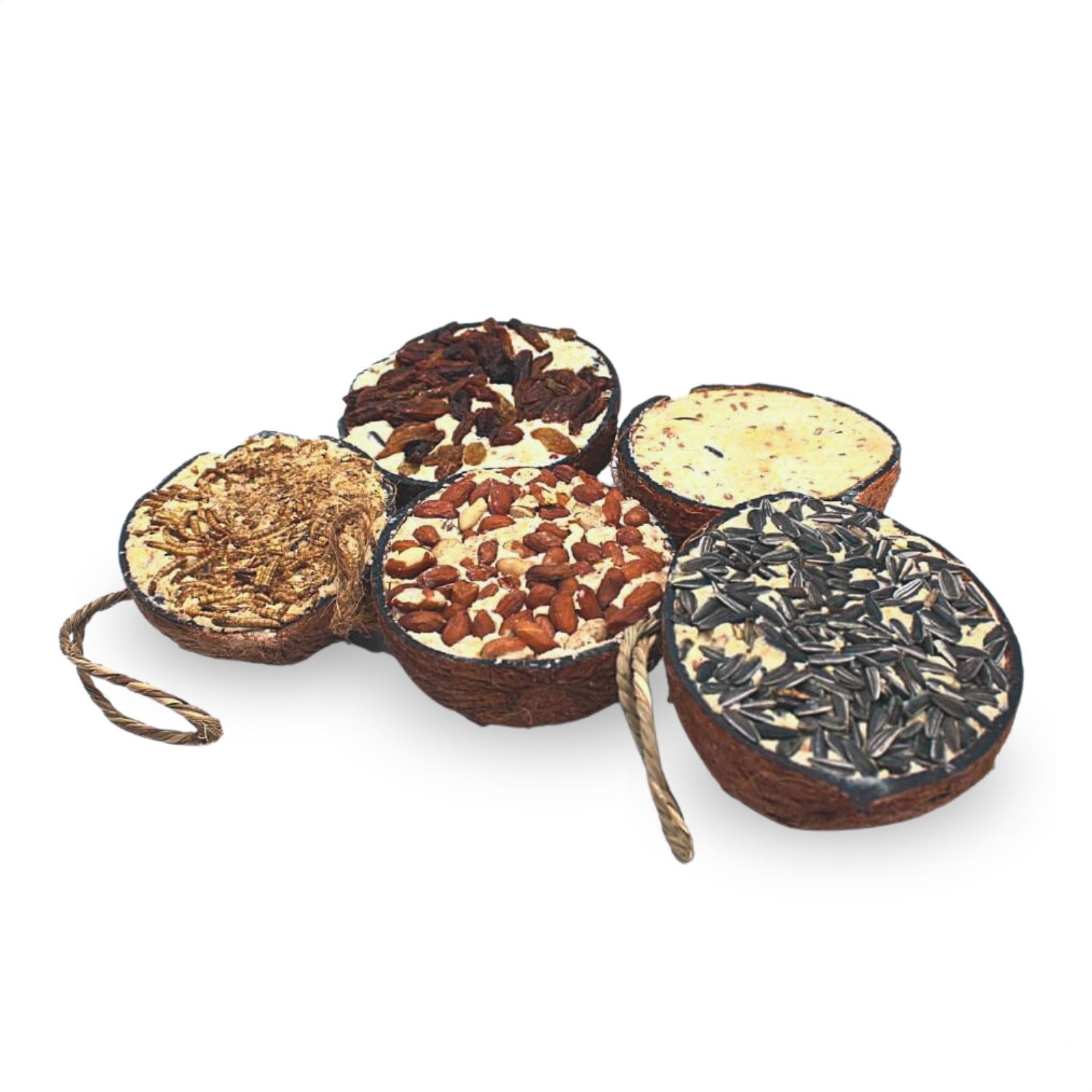 Lyra Pet 10 Stk. Lyra Pet® Halbe Kokosnuss gefüllt mit Topping Vogelfutter, für: Wildvogel