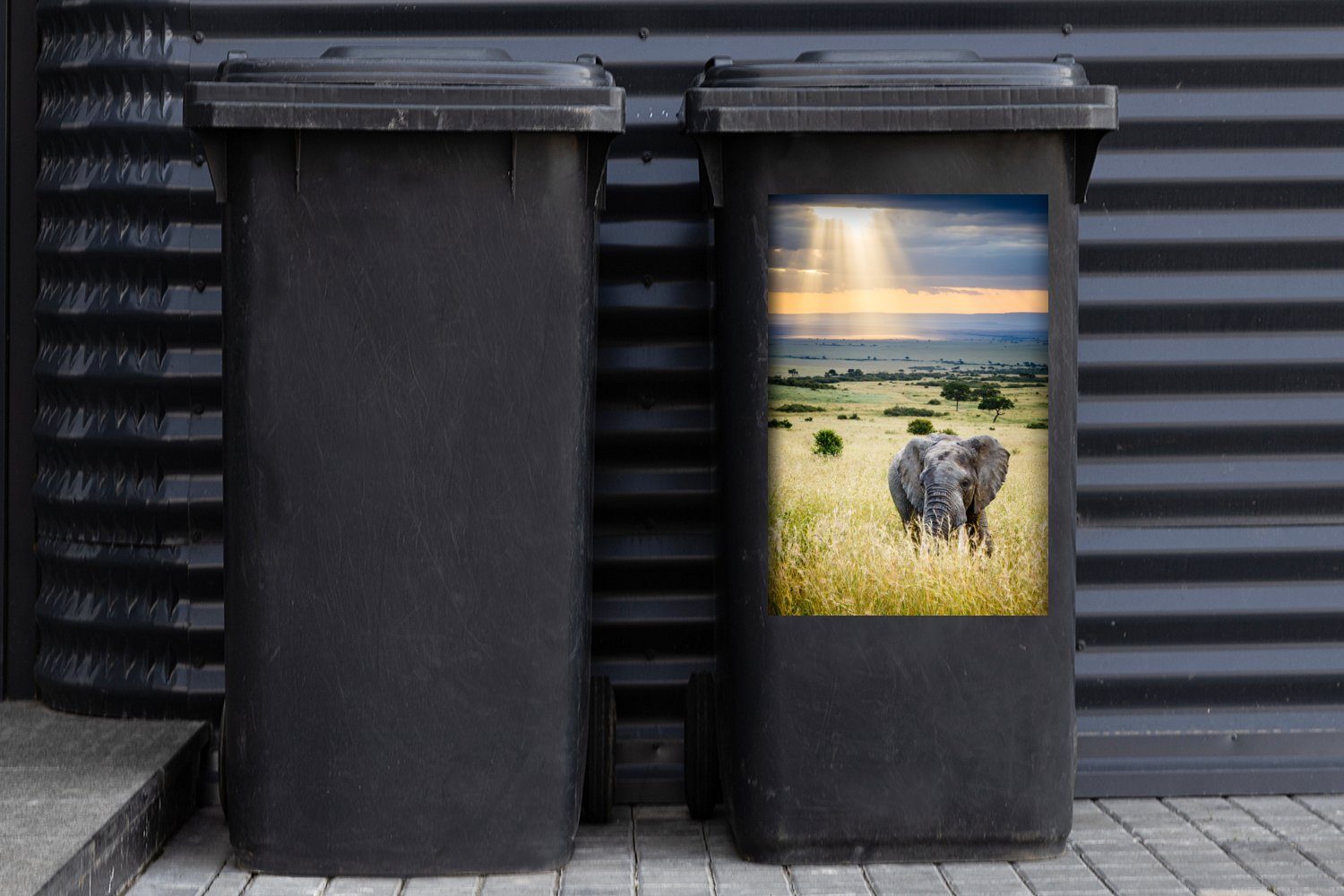 Natur - Landschaft Sticker, St), Sonne Mülleimer-aufkleber, MuchoWow Abfalbehälter - - - Container, Wandsticker Mülltonne, Tiere (1 Elefant