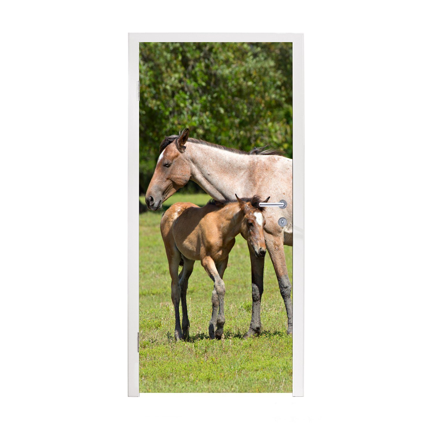 MuchoWow Türtapete Pferde - Gras - Schatten, Matt, bedruckt, (1 St), Fototapete für Tür, Türaufkleber, 75x205 cm