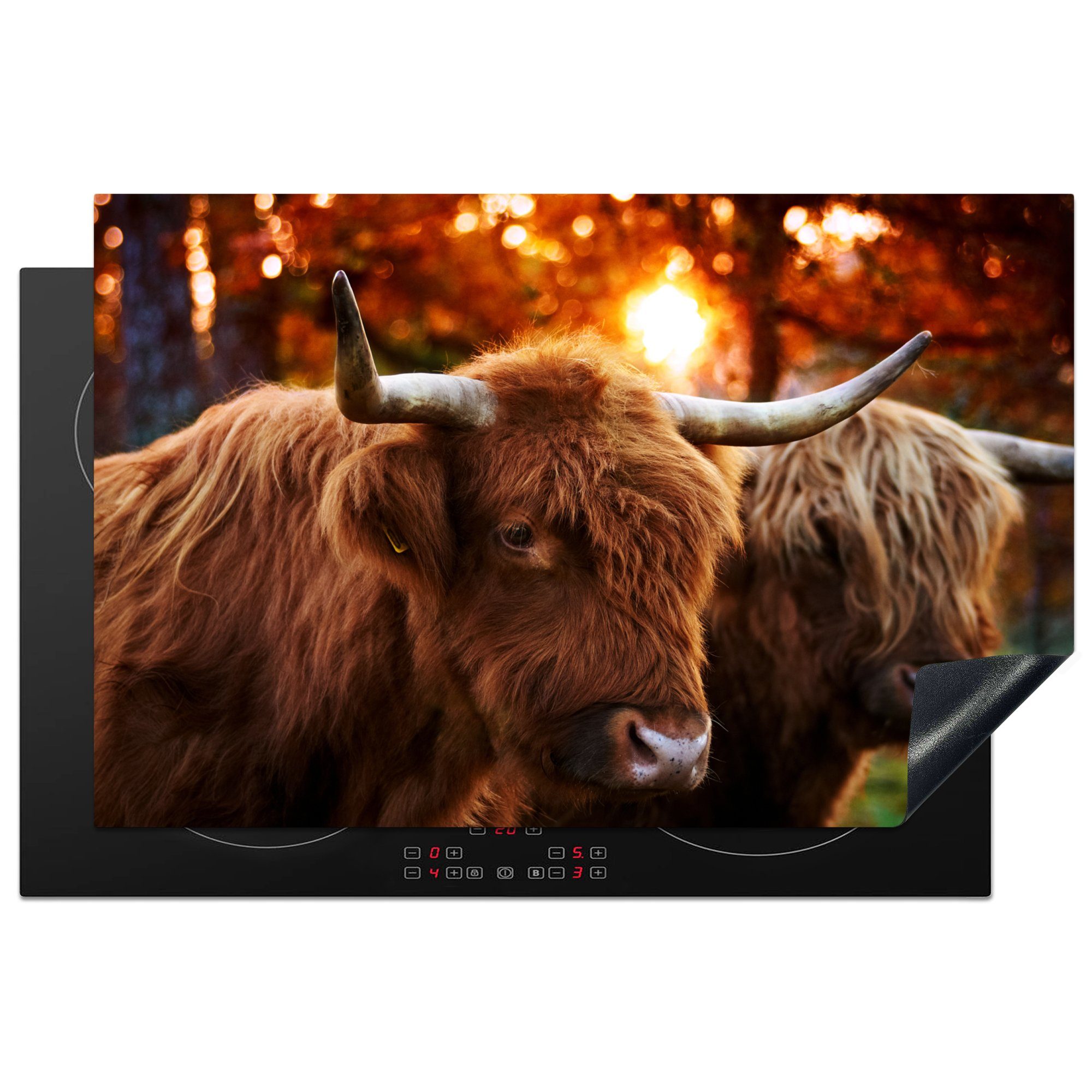 MuchoWow Herdblende-/Abdeckplatte Schottische Highlander - Porträt - Herbst, Vinyl, (1 tlg), 81x52 cm, Induktionskochfeld Schutz für die küche, Ceranfeldabdeckung