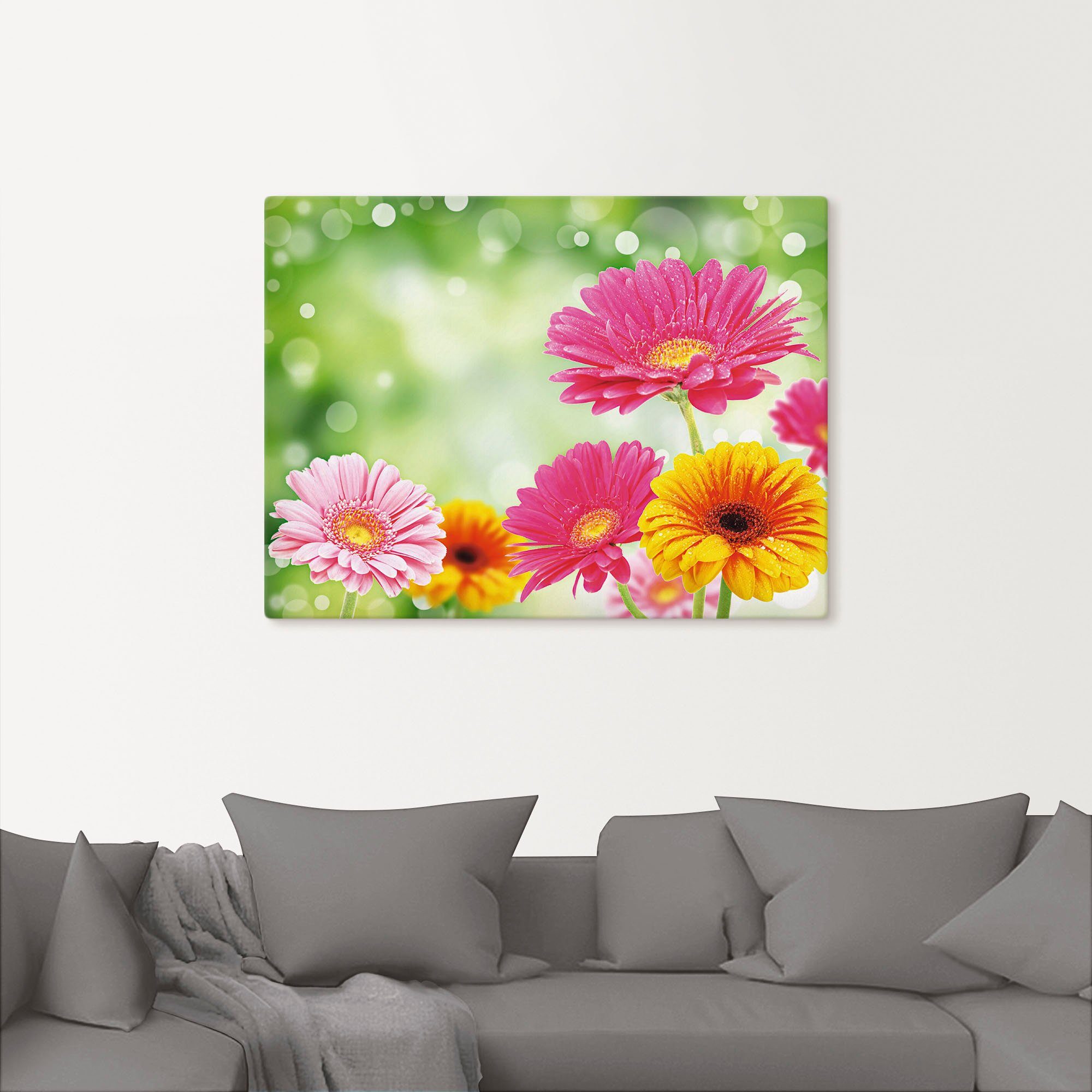 Artland Wandbild Natürliche Romantik - Gerberas, günstig online kaufen