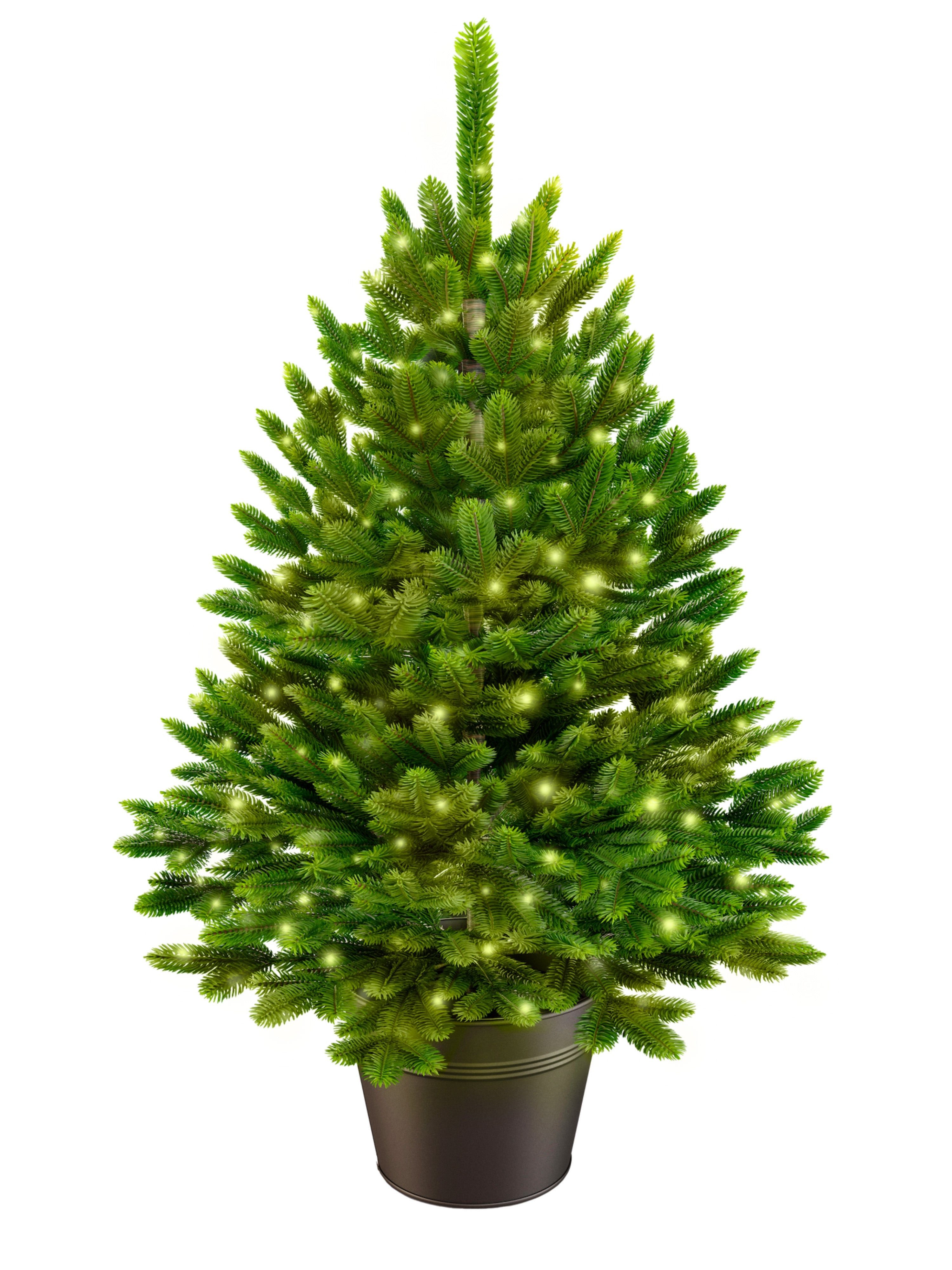 Künstlicher Weihnachtsbaum Premium Tanne im Topf mit integrierter Lichterkette