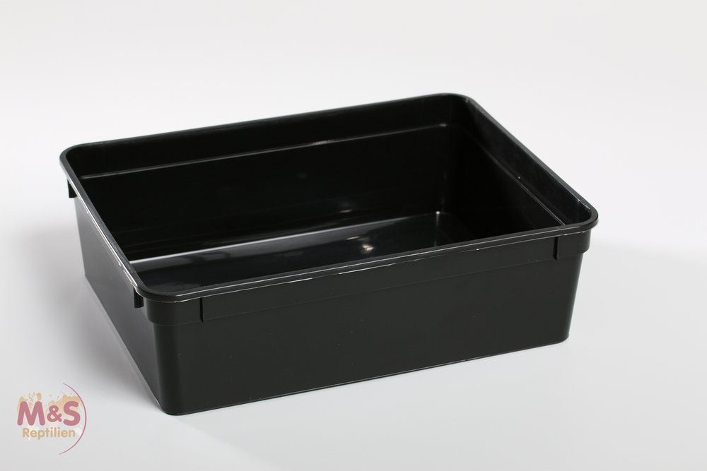 Terrarium Kunststoffbox schwarz, groß (24x18x7,5 cm) OHNE Deckel