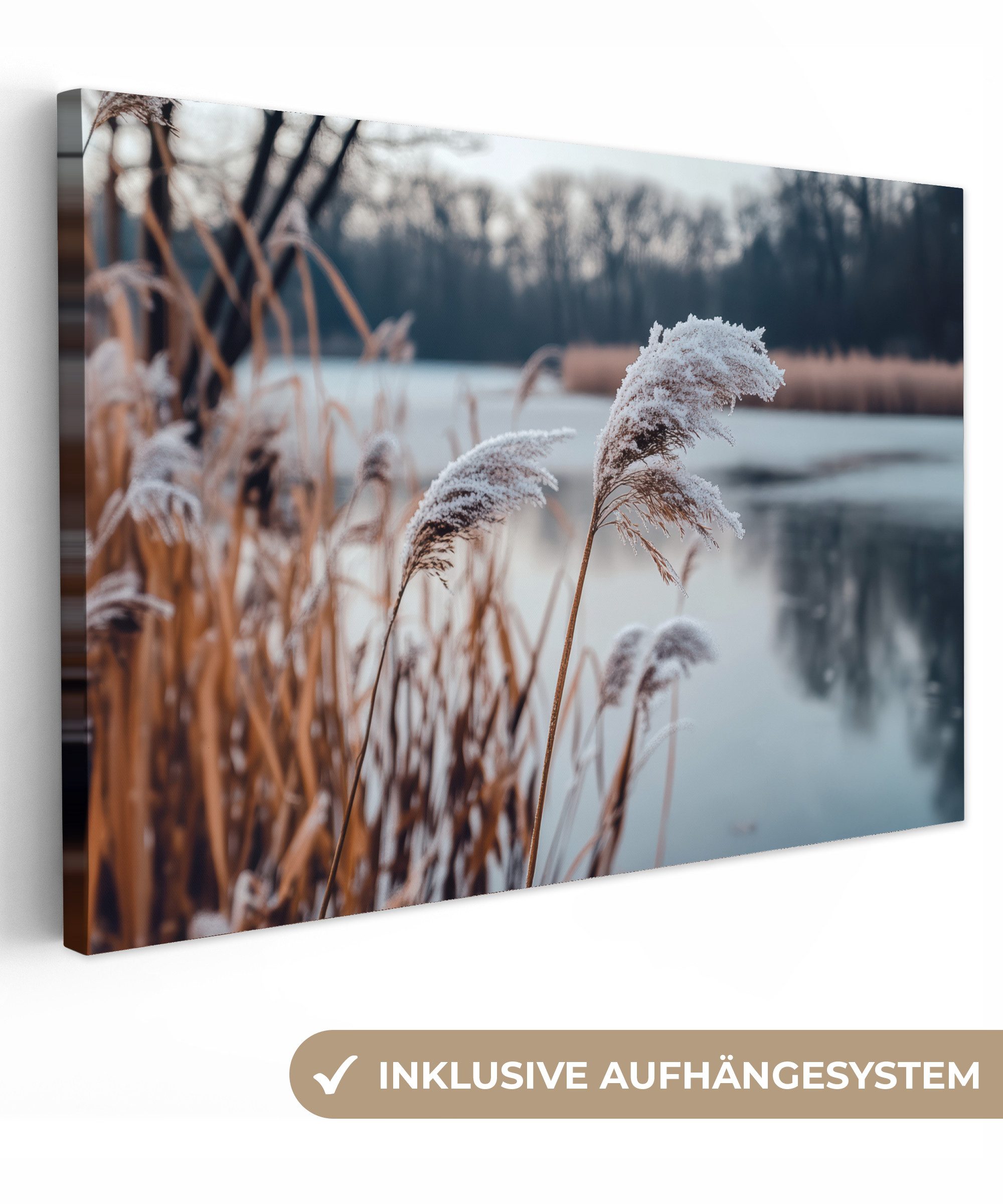 OneMillionCanvasses® Leinwandbild Schilf - Gras - Natur - Winter - See, Fot günstig online kaufen