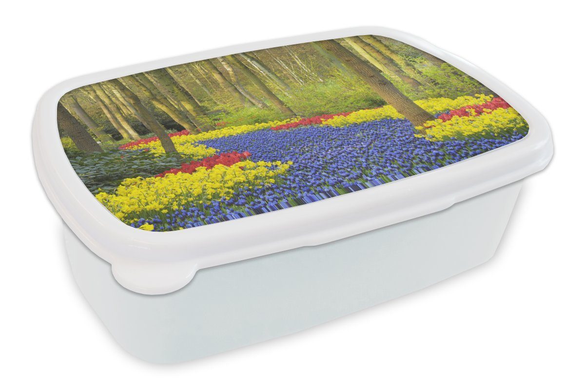 (2-tlg), Mädchen Erwachsene, Tulpenzwiebelspaziergang und dem Keukenhof, für und für MuchoWow Lunchbox auf weiß Kinder Brotbox Brotdose, Jungs Kunststoff,