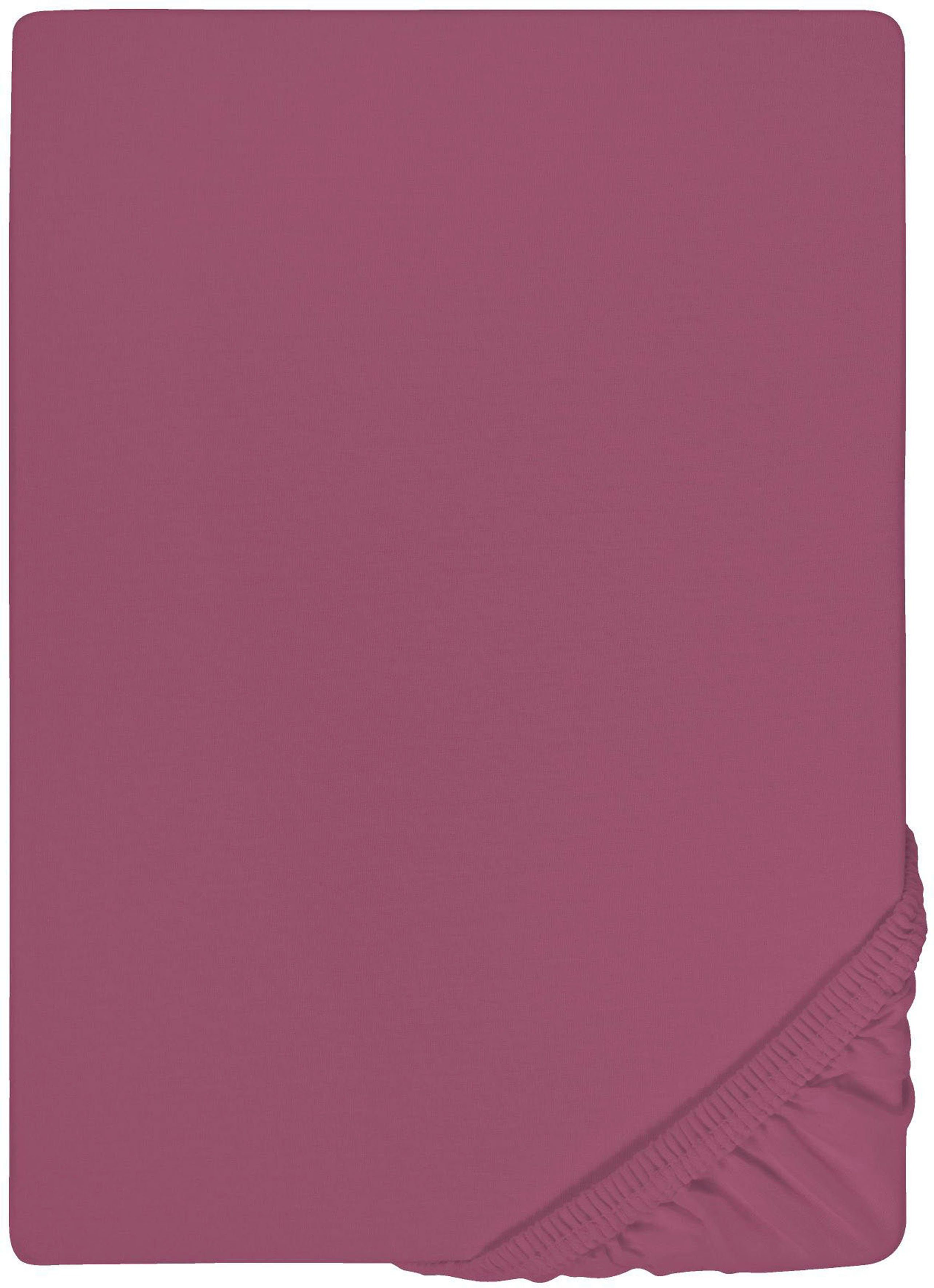 Castell - Markenbettwäsche Spannbettlaken Jersey in Gr. 90x200, 140x200 ode günstig online kaufen