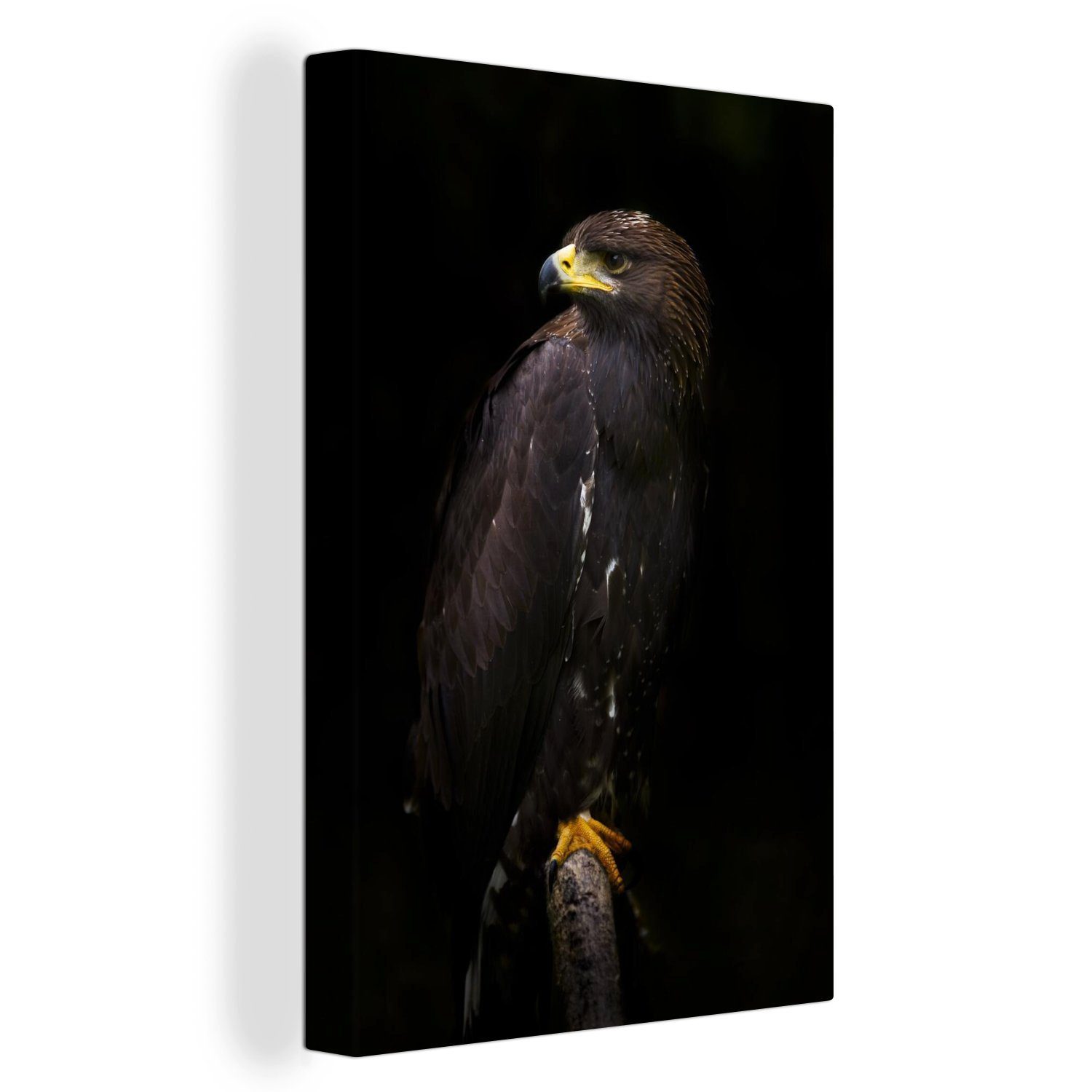 OneMillionCanvasses® Leinwandbild Adler - Tier - Braun, (1 St), Leinwandbild fertig bespannt inkl. Zackenaufhänger, Gemälde, 20x30 cm