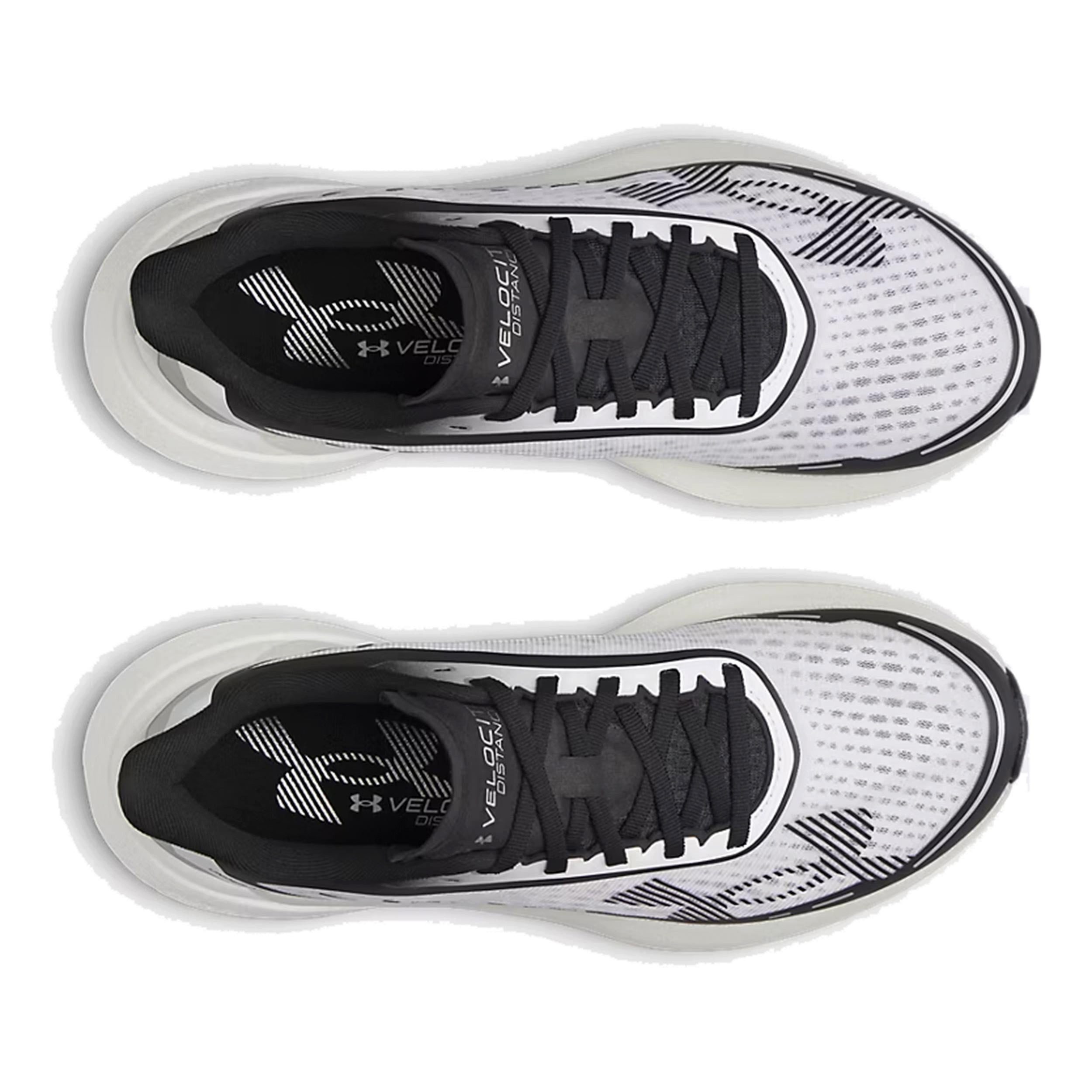 Under Armour® Velociti Distance - Neutralschuh Laufschuh