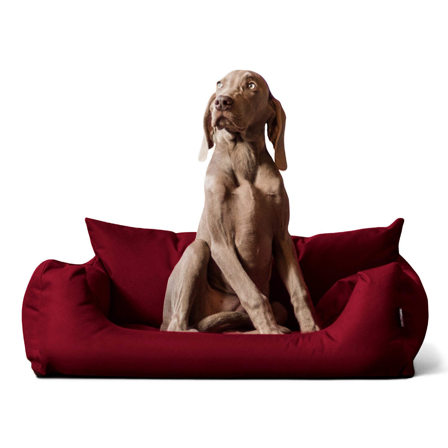 tierlando® Tierbett NEMO Hundebett Hundesofa S günstig online kaufen