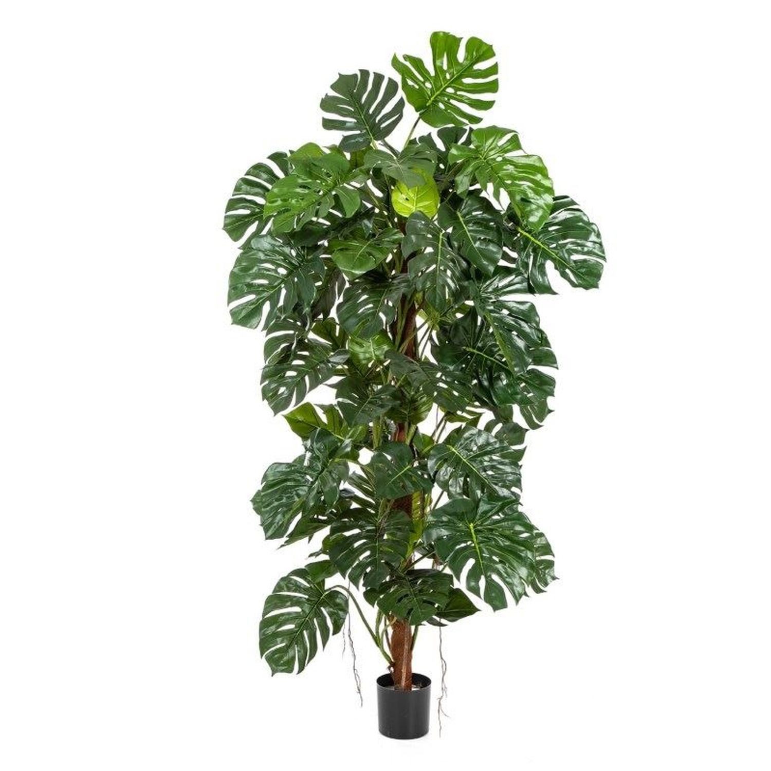 Künstliche Zimmerpflanze Deko Philodendron Monstera Deliciosa MEBSUTA, 160cm Philodendron (Philodendron monstera deliciosa), artplants, Höhe 160.0 cm