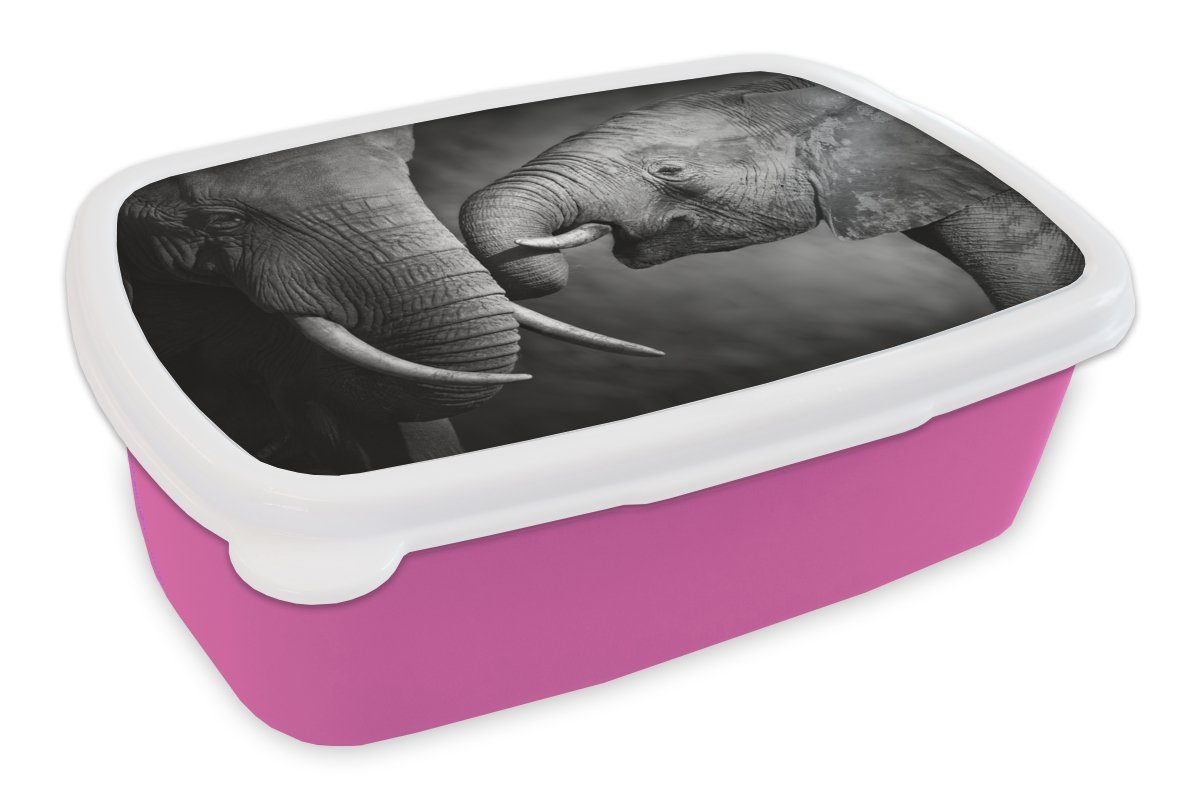 Schwarz Elefant Kunststoff Erwachsene, Brotbox - Wildtiere (2-tlg), Mädchen, MuchoWow - für rosa Kinder, Lunchbox Weiß Kunststoff, Snackbox, Porträt, - Brotdose -
