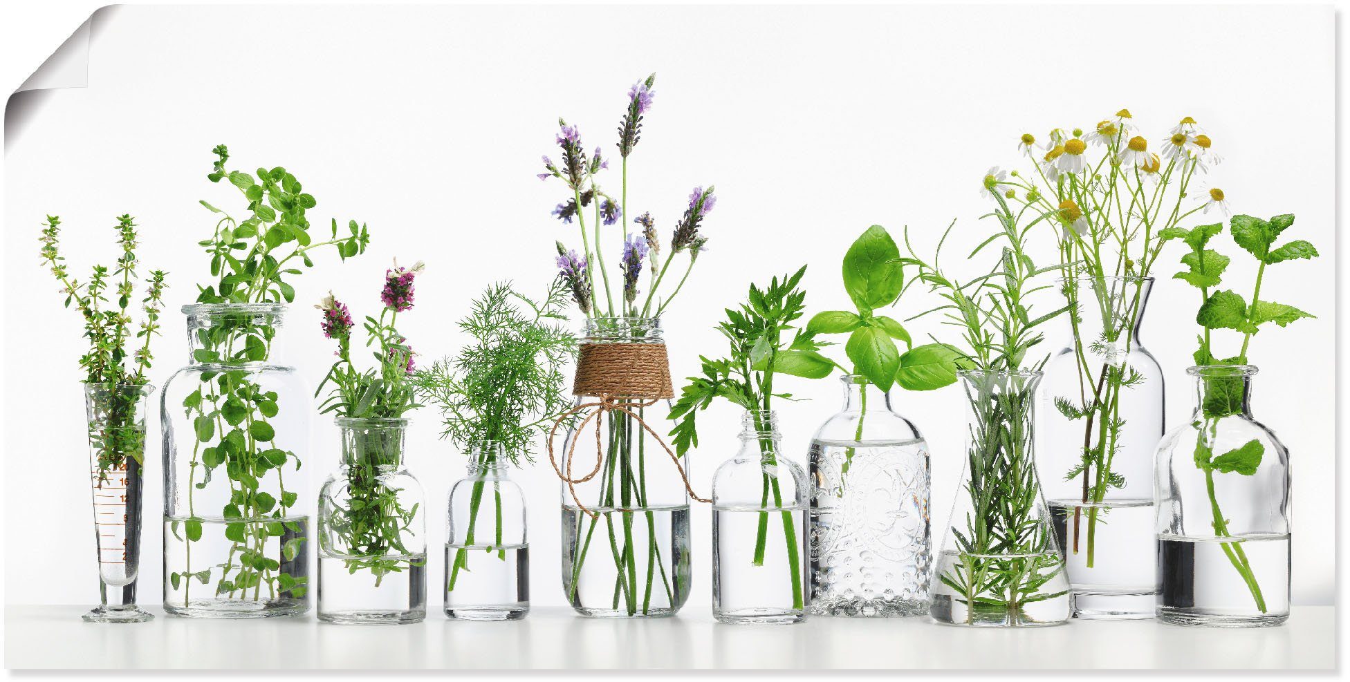 Artland Wandbild Öle mit Kräutern, Kräuterbilder (1 St), als Alubild, Leinwandbild, Poster, Wandaufkleber in verschied. Größen