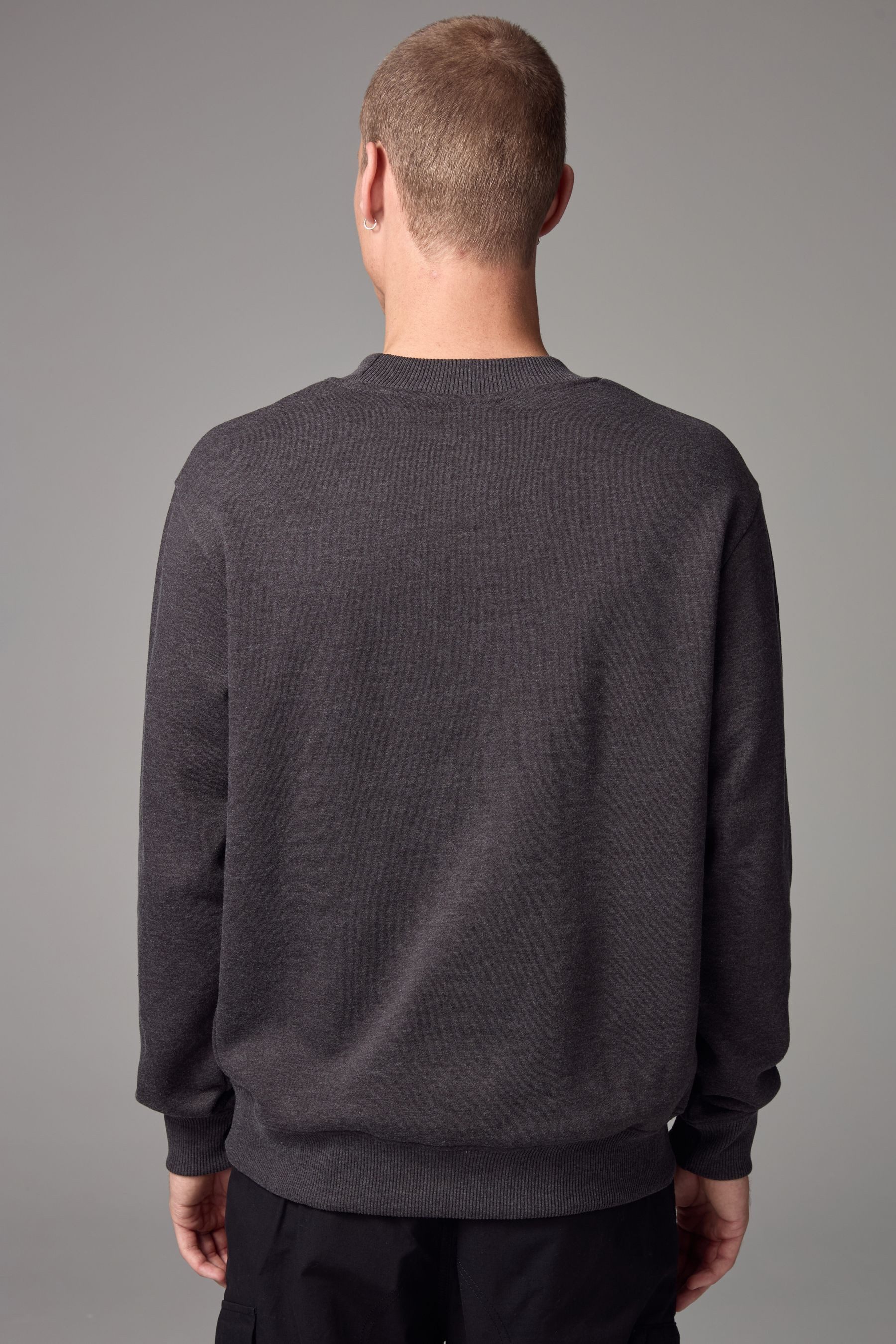 Next Sweatshirt Premium Jersey-Pullover – Rundhalspullover günstig online kaufen