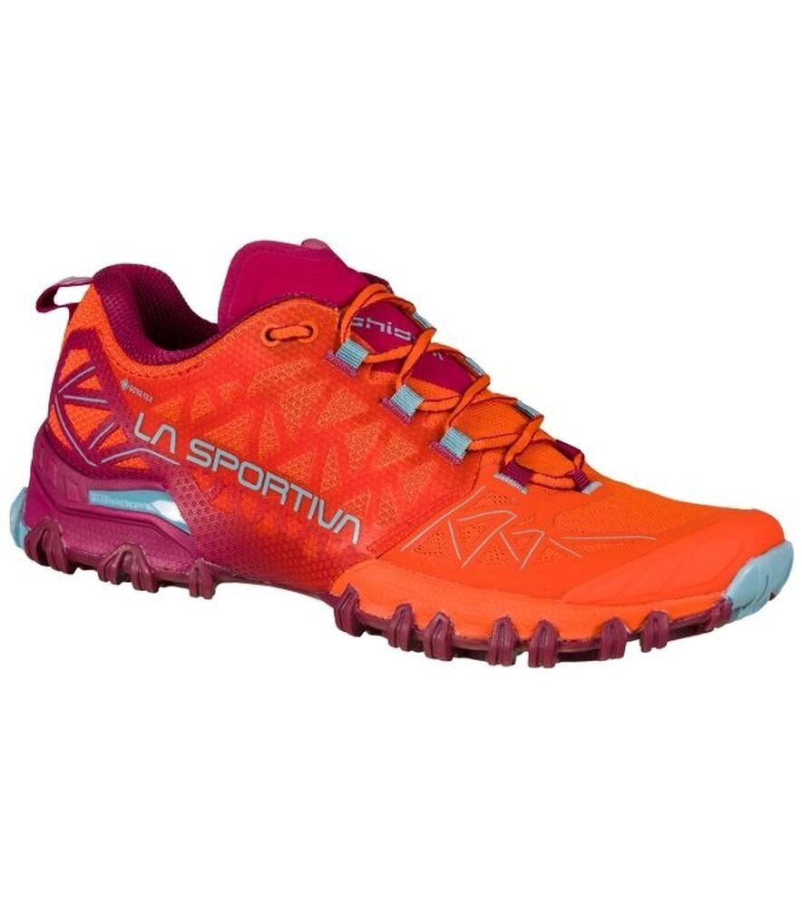 Bushido 2 GTX Outdoorschuh