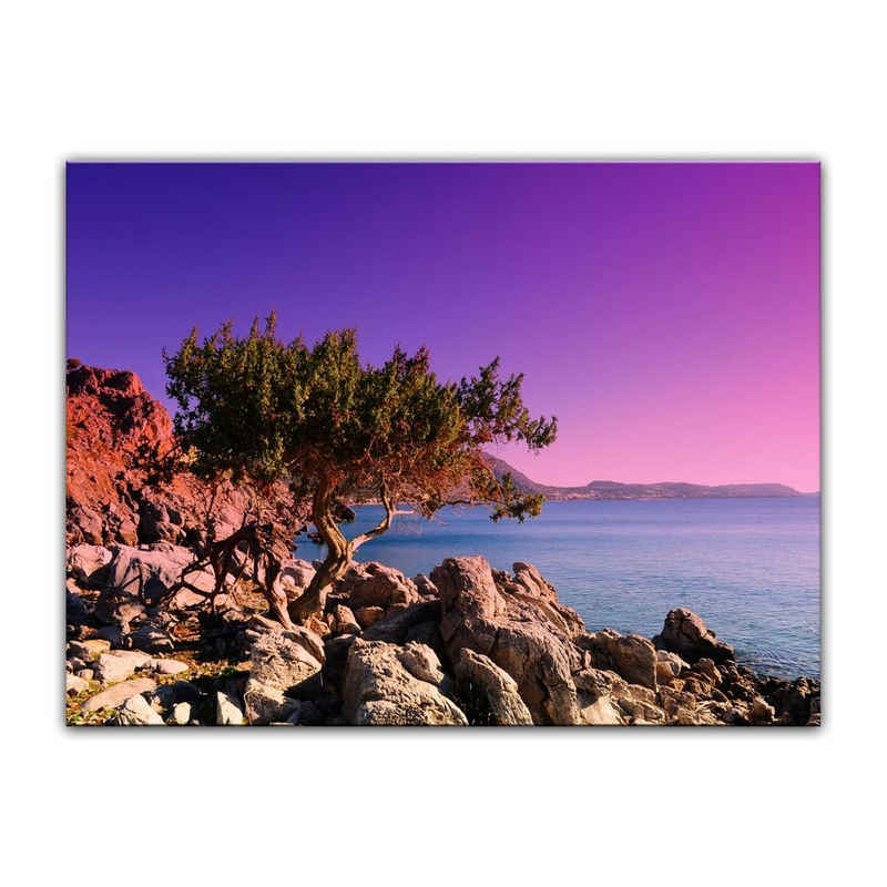 Bilderdepot24 Leinwandbild Mediterraner Baum auf Rhodos - Griechenland, Landschaften