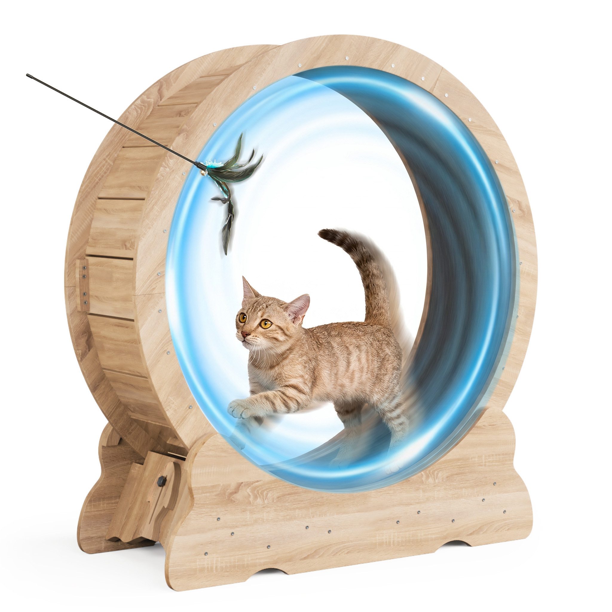 Mondeer Tier-Intelligenzspielzeug Katzenlaufrad, MDF, Innendurchmesser 80cm Leises Scrollrad und Sicherheitsschloss-Design