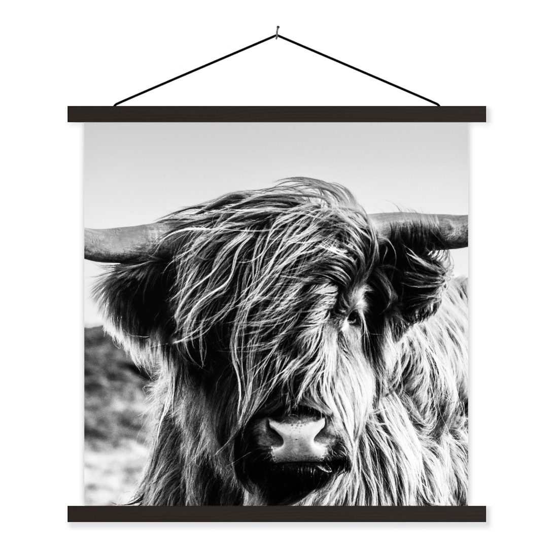 MuchoWow Poster Kuh - Schottischer Hochländer - Schwarz - Weiß - Tier - Natur - Wildti, (1 St), Magnetische Posterleiste, Holzleisten, Textilposter, 40x40 cm