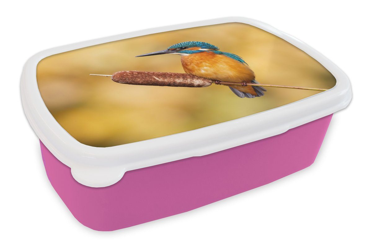 MuchoWow Lunchbox Eisvogel - Natur - Vogel, Kunststoff, (2-tlg), Brotbox für Erwachsene, Brotdose Kinder, Snackbox, Mädchen, Kunststoff rosa