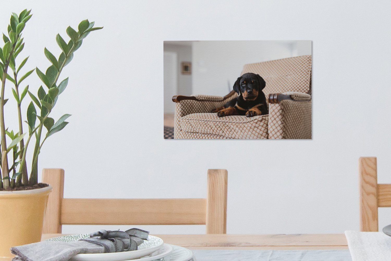 OneMillionCanvasses® Leinwandbild Leinwandbilder, Rottweiler-Welpe (1 cm auf einem sitzt Niedlicher Stuhl, Wandbild 30x20 St), Aufhängefertig, Wanddeko