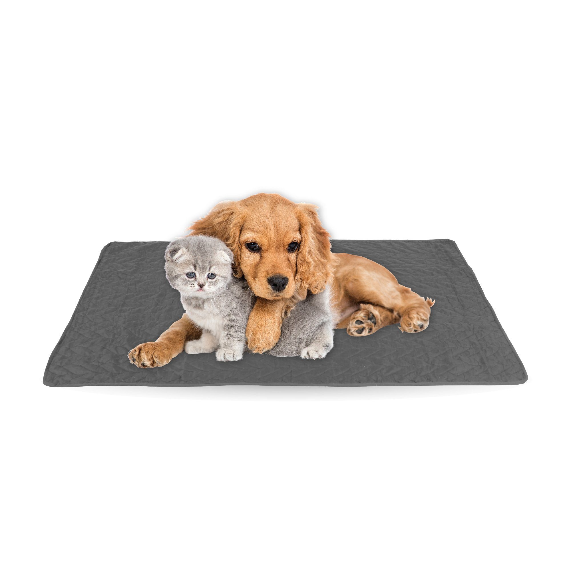 Bestlivings Tierdecke gesteppte Haustierdecke S-XL, Polyester, Haustiermatt günstig online kaufen