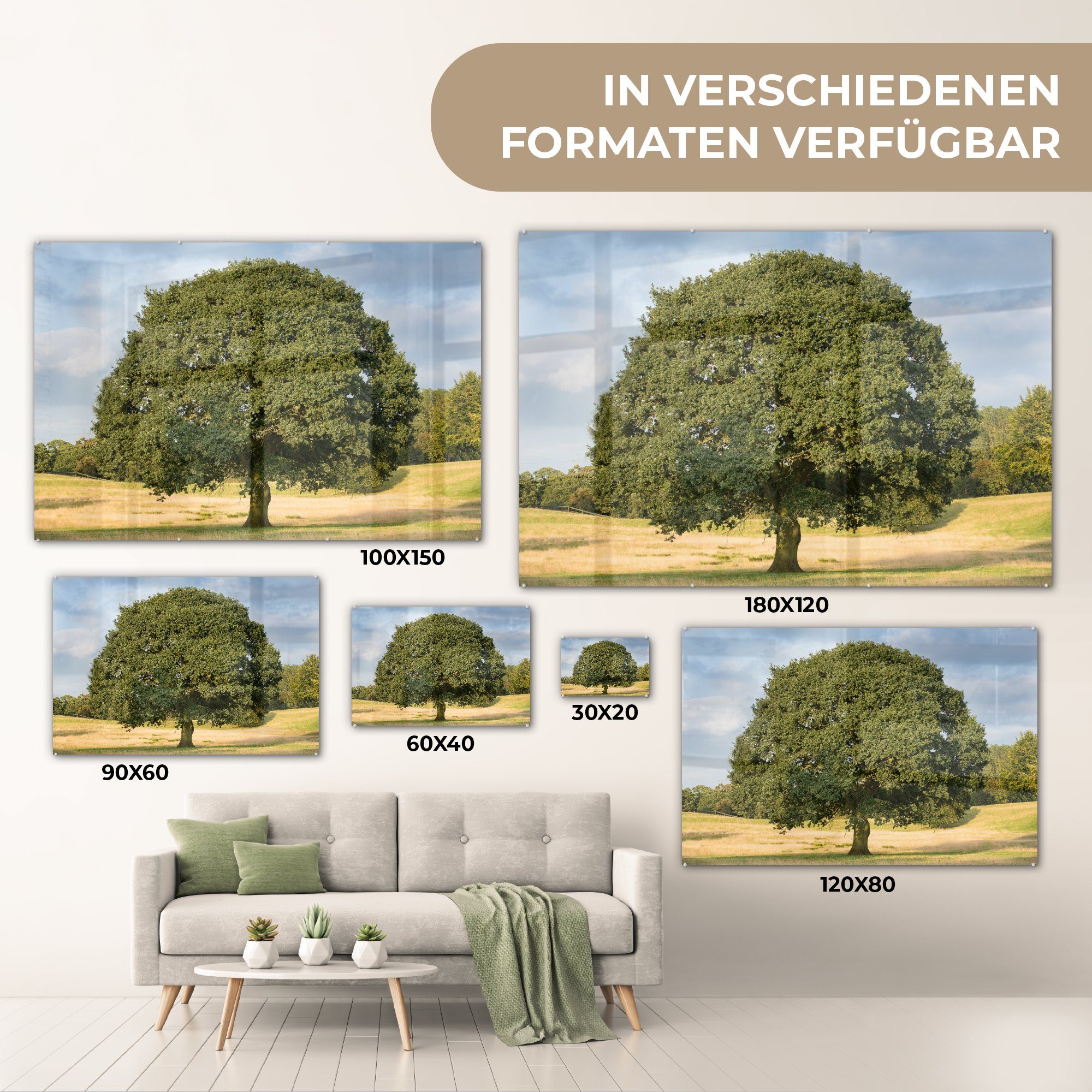 Acrylglasbilder einer Acrylglasbild Schlafzimmer (1 & Eiche Wohnzimmer MuchoWow Einsame St), hügeligen in Landschaft,