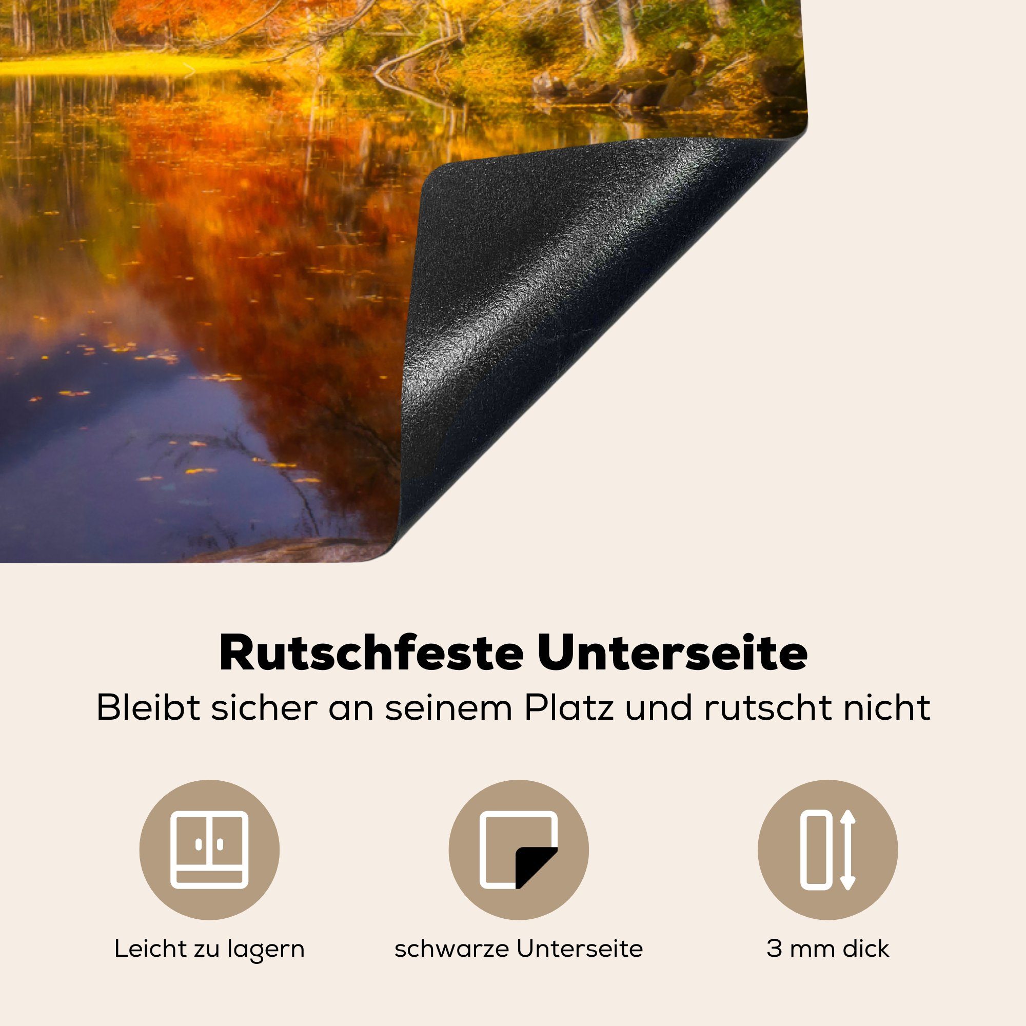 (1 Herbst, 81x52 cm, für Schutz küche, Natur - Vinyl, MuchoWow tlg), Ceranfeldabdeckung - Herdblende-/Abdeckplatte Induktionskochfeld Wald die