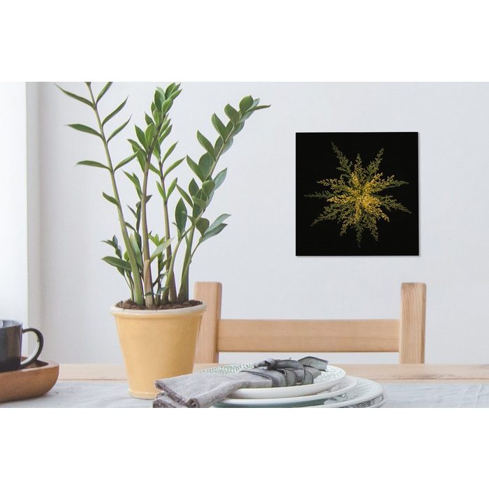 MuchoWow Leinwandbild Eine Goldrutenblüte auf schwarzem Hintergrund (1 St) Leinwand Bilder Wandbilder Wohnzimmer Dekoration