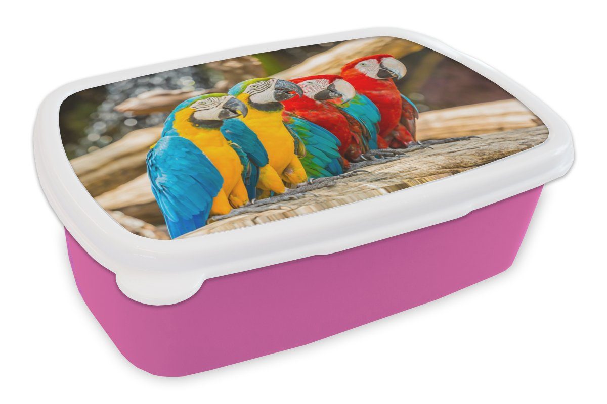 MuchoWow Lunchbox Vögel - Papagei - Tropisch - Natur, Kunststoff, (2-tlg), Brotbox für Erwachsene, Brotdose Kinder, Snackbox, Mädchen, Kunststoff rosa