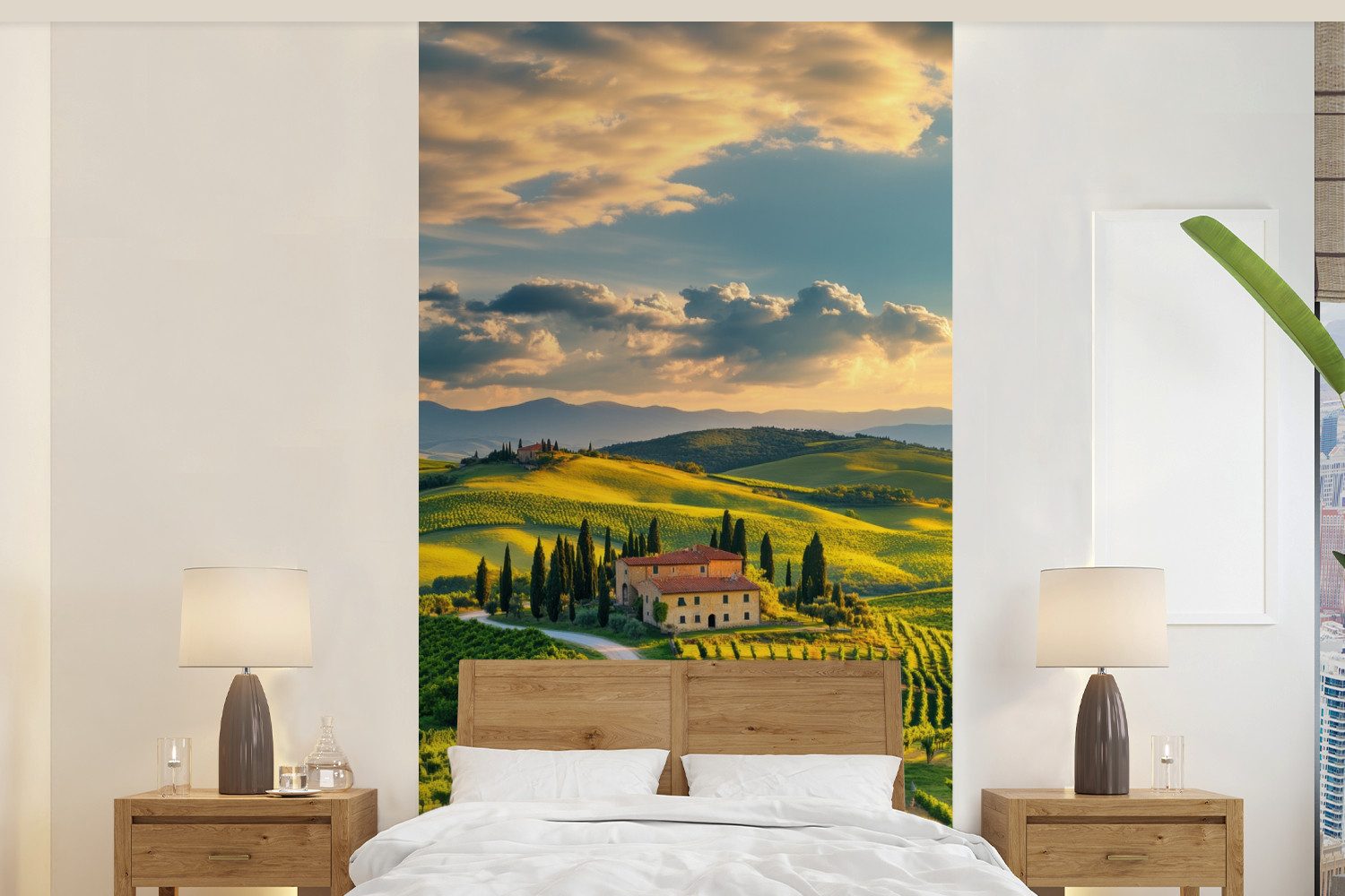 Fototapete Toskana - Landschaft - Weinberge