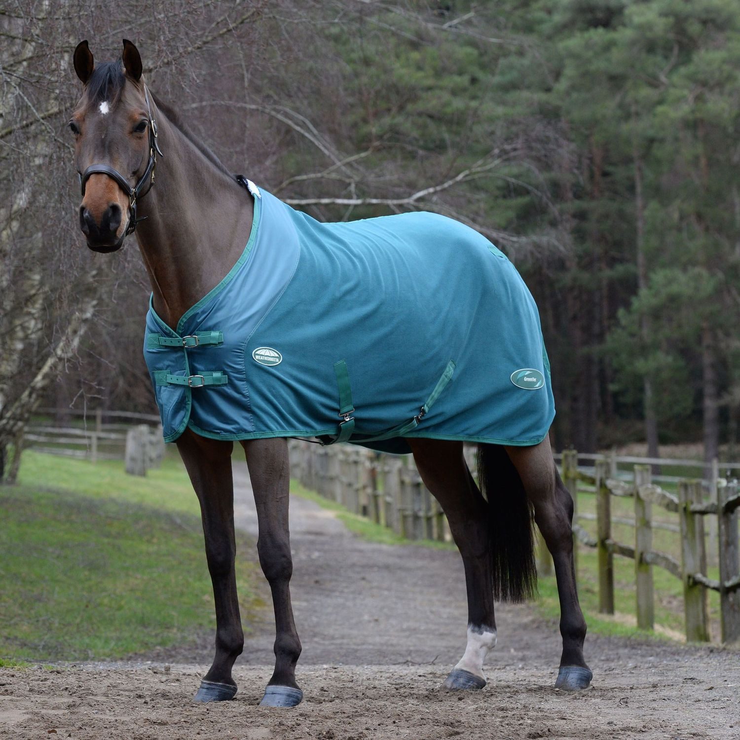WeatherBeeta Pferde-Abschwitzdecke Weatherbeeta Green-Tec Fleece Abschwitzdecke Standard