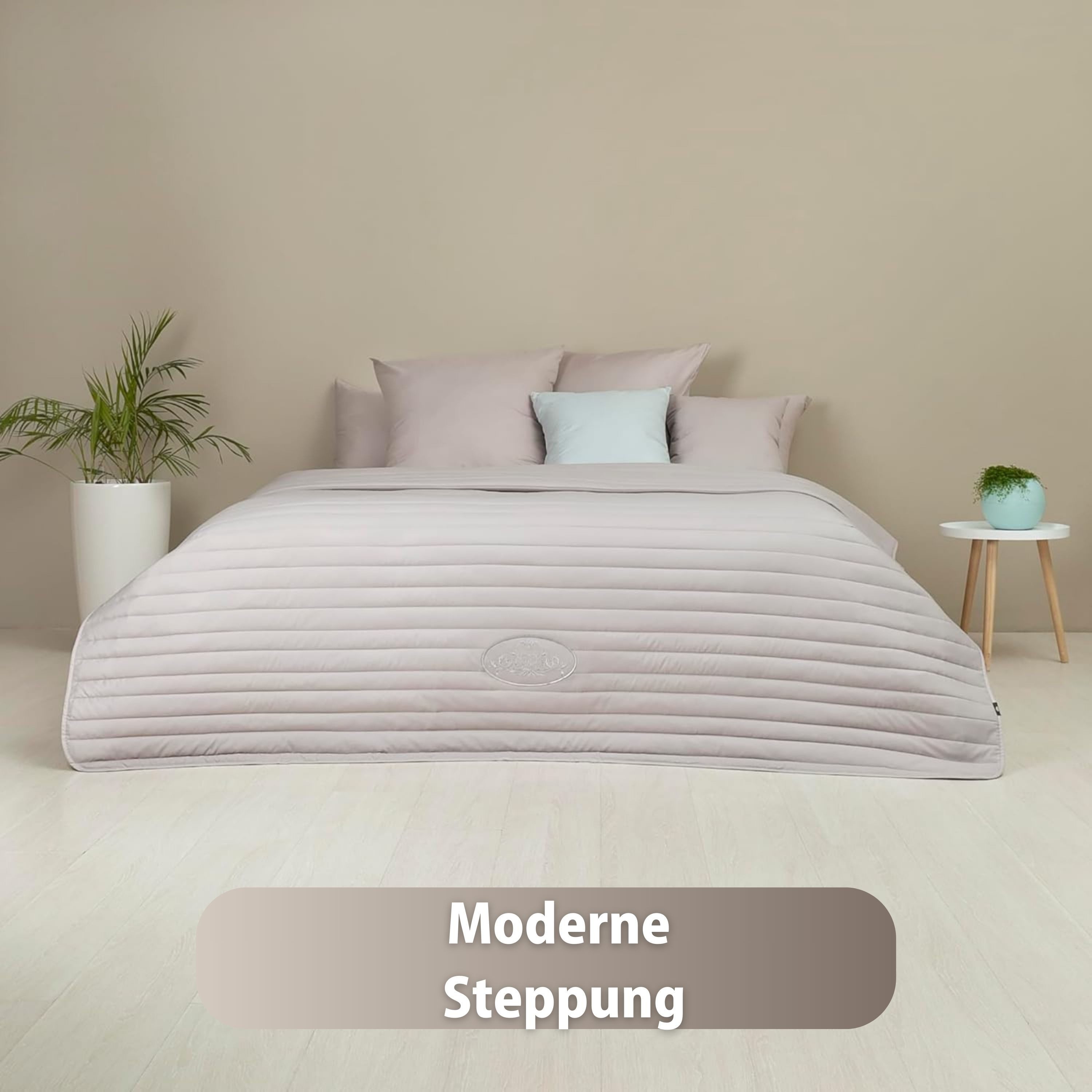 SEI Design Bettüberwurf Wende-Tagesdecke Royal Ambience 240x220 sibergrau / günstig online kaufen