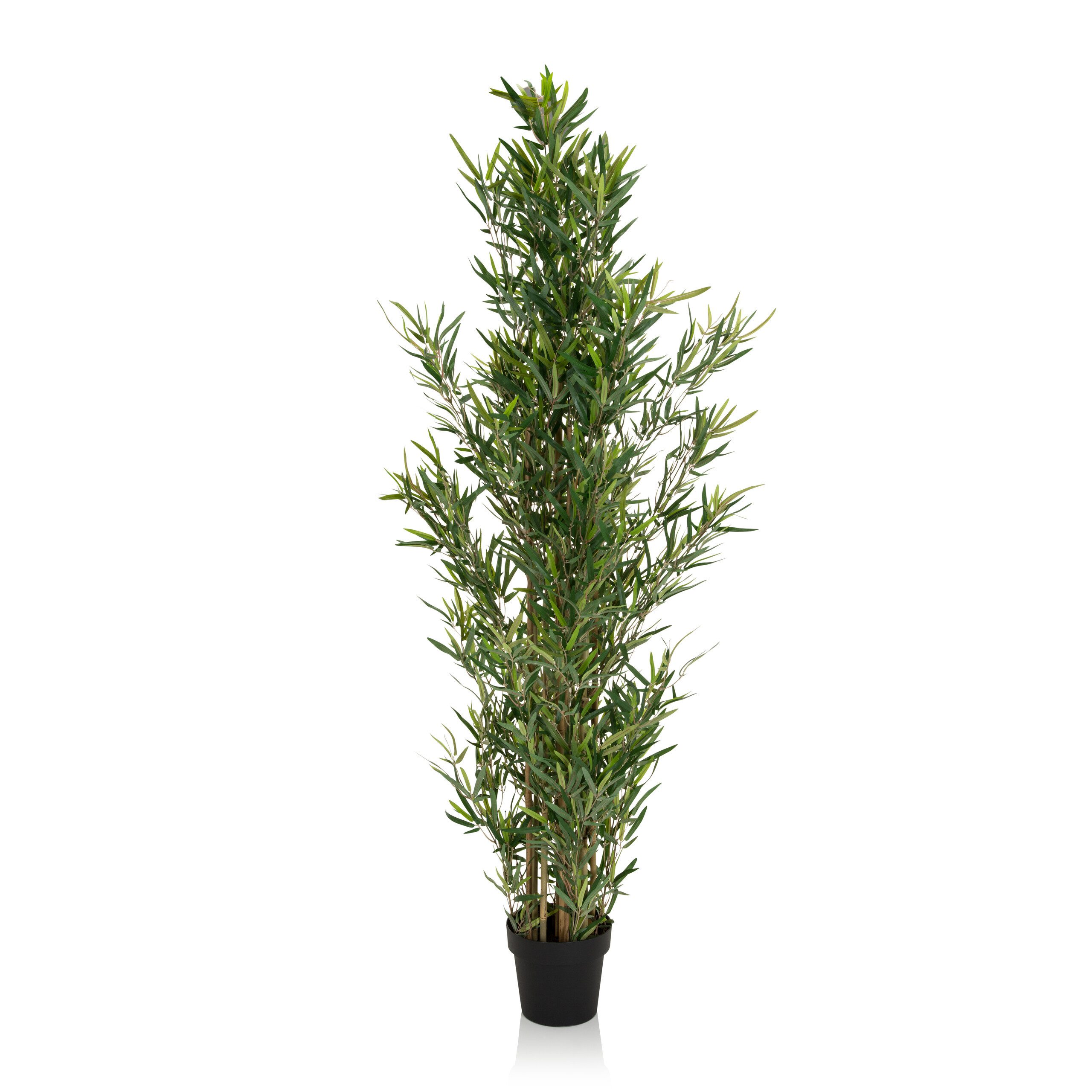Kunstpflanze Kunstpflanze BAMBUS Kunststoff, Stoff Bambus, hjh OFFICE, Höhe 165.0 cm, Künstliche Zimmerpflanze Kunstbambus im Kunststoff-Topf Echtholzstamm. € 104,90