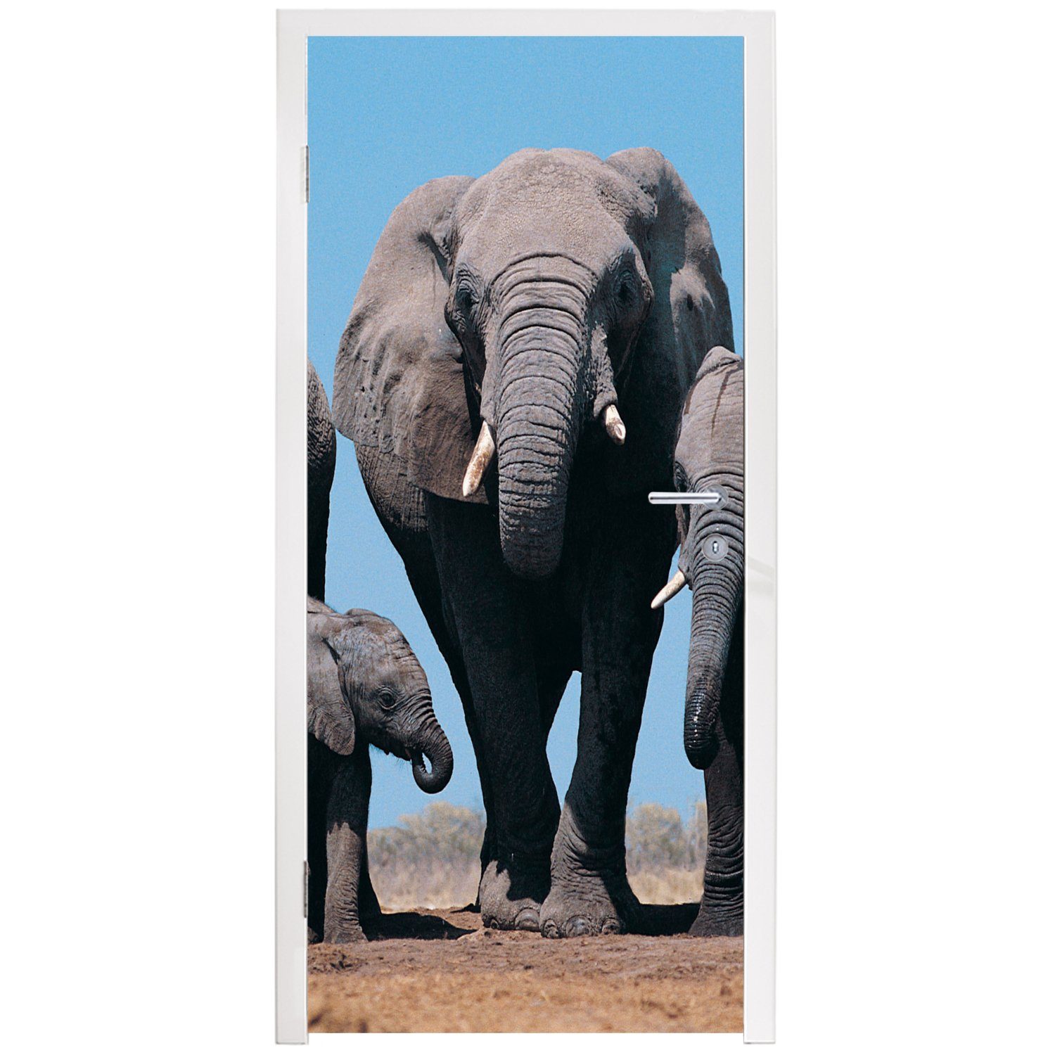 für Tür, - 75x205 bedruckt, Tiere - Türtapete Türaufkleber, cm Matt, - (1 Elefant Natur, MuchoWow Fototapete St), Prärie