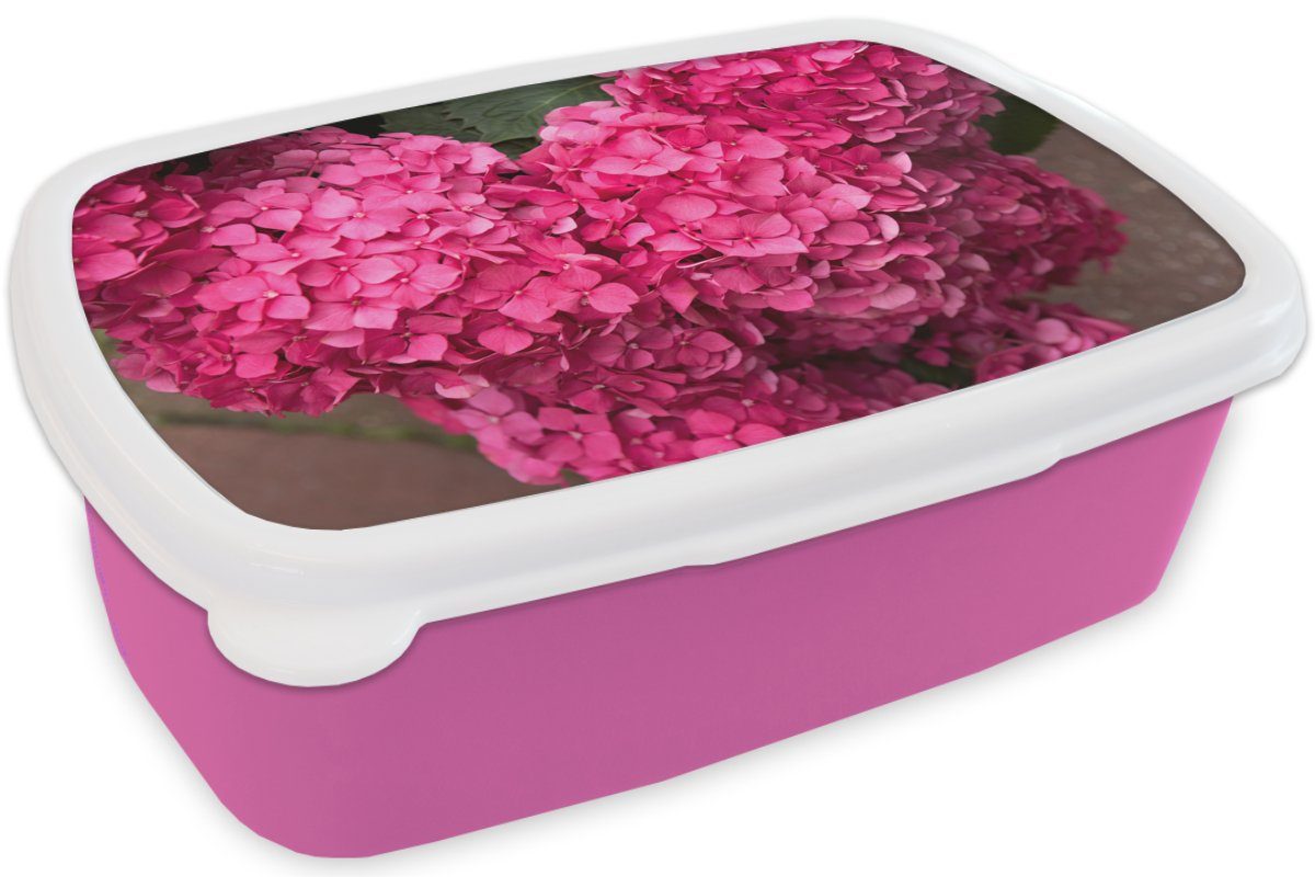 Nahaufnahme Kunststoff, Lunchbox Snackbox, Brotbox Mädchen, für MuchoWow rosa Brotdose Kunststoff (2-tlg), Kinder, Hortensienblüten, Erwachsene,