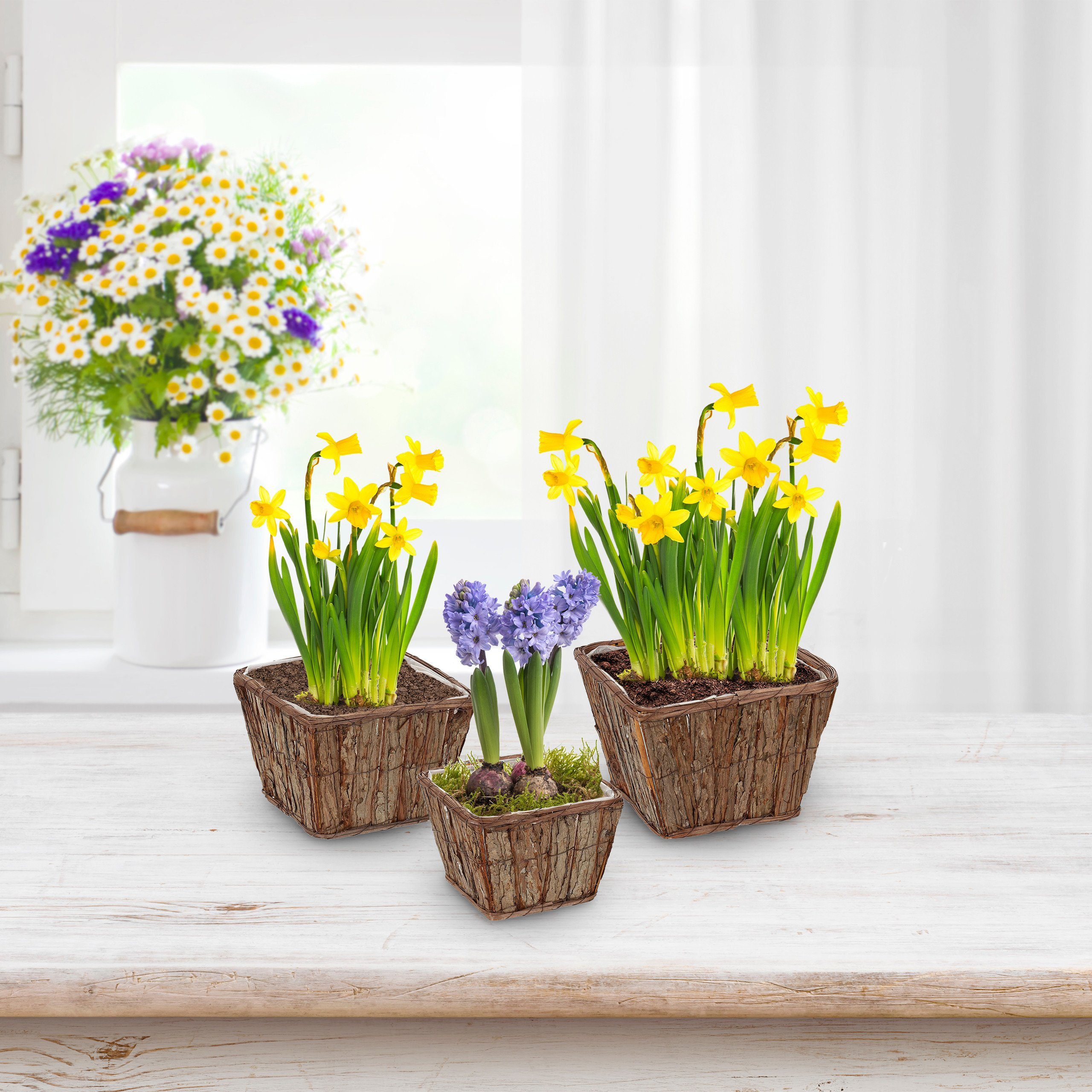 relaxdays Blumentopf Eckiges Blumentopf 3er Set günstig online kaufen