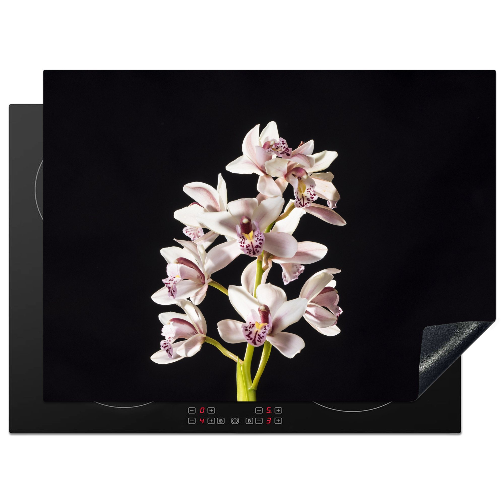 MuchoWow Herdblende-/Abdeckplatte Eine weiße Orchidee vor schwarzem Hintergrund, Vinyl, (1 tlg), 71x52 cm, Induktionskochfeld Schutz für die küche, Ceranfeldabdeckung