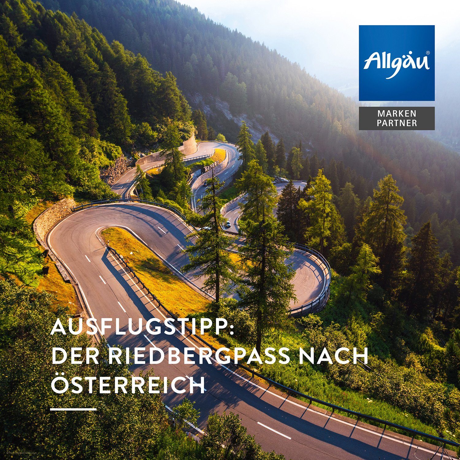 Allgäuquelle Raumduft Bio Auto Duftspray 100ml), Alpenzirbe, Lorbeer, Fichte und x Naturluft Kiefer mit (1 Allgäuer