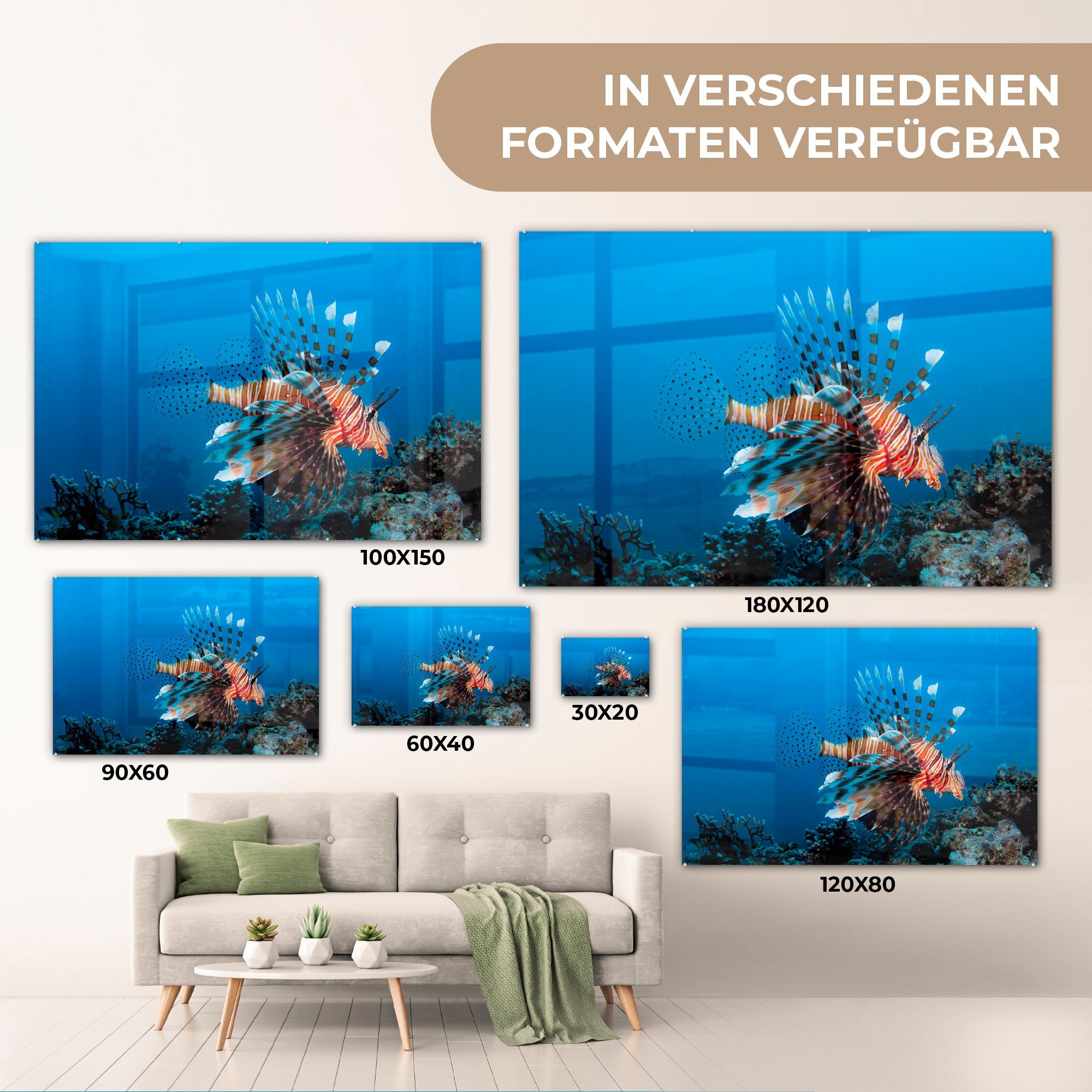 MuchoWow Acrylglasbild - Wohnzimmer St), & Fische Wasser - (1 Korallenteufel, Schlafzimmer Acrylglasbilder