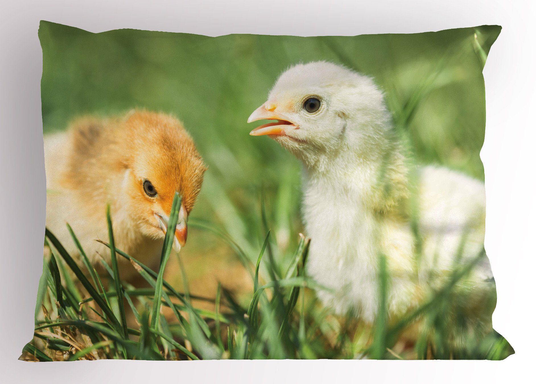 Kissenbezüge Dekorativer Standard King Size Gedruckter Kissenbezug, Abakuhaus (1 Stück), Chicks Close up Foto Baby Hühner