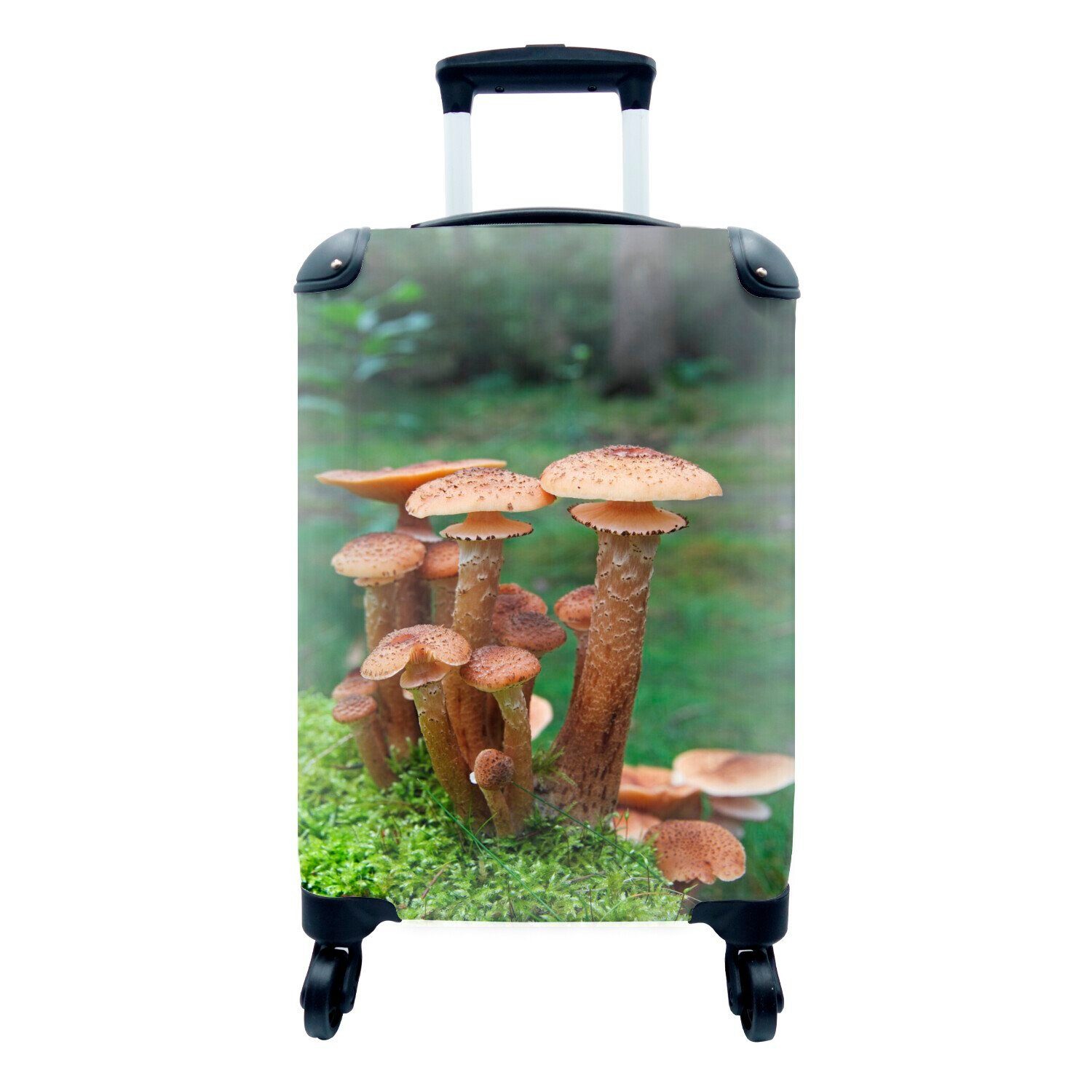 MuchoWow Handgepäckkoffer Koffer Handgepäck Fotokoffer Trolley Kinderkoffer Extra Leicht Honig, 4 Rollen, Trolley Reisekoffer, Passend in 55x40x23 cm und 55x40x20 cm, Koffer Hartschalenkoffer