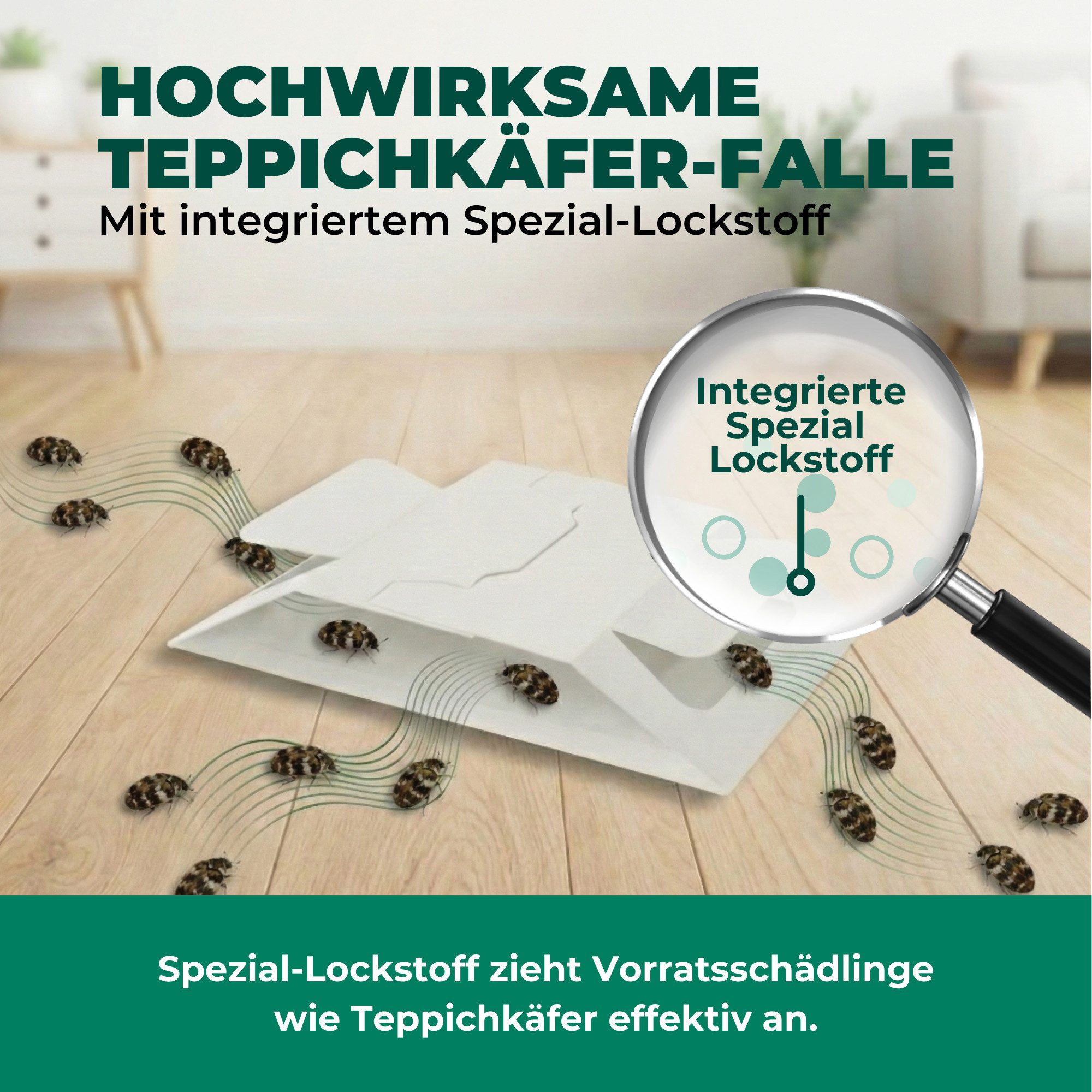 Silberkraft Insektenfalle Teppichkäferfalle – Universal-Klebefalle mit Lockstoff, Extrastarke Klebefläche, einfache Anwendung – Bild 4 von 5